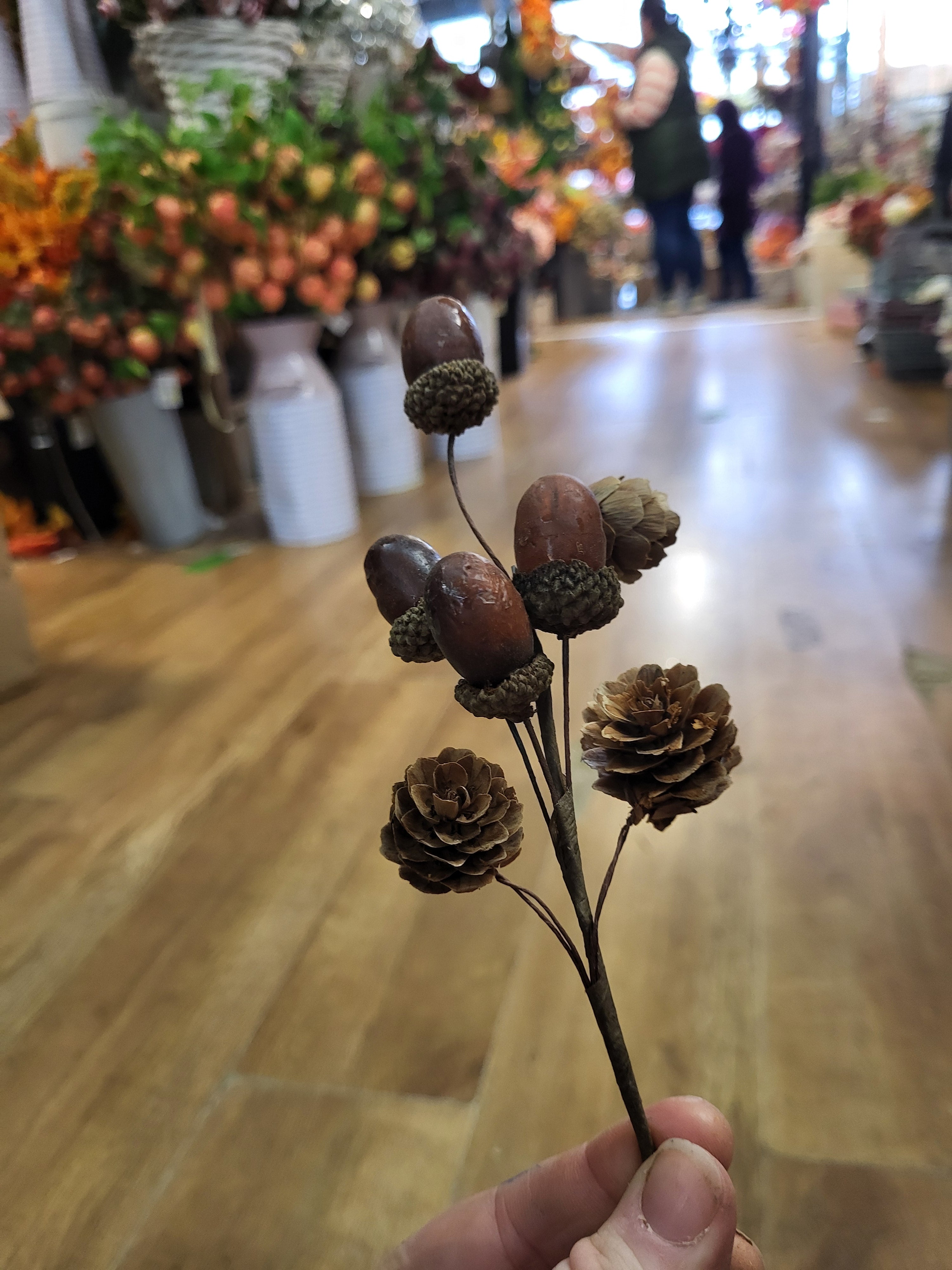 Acorn and cone pick image 2