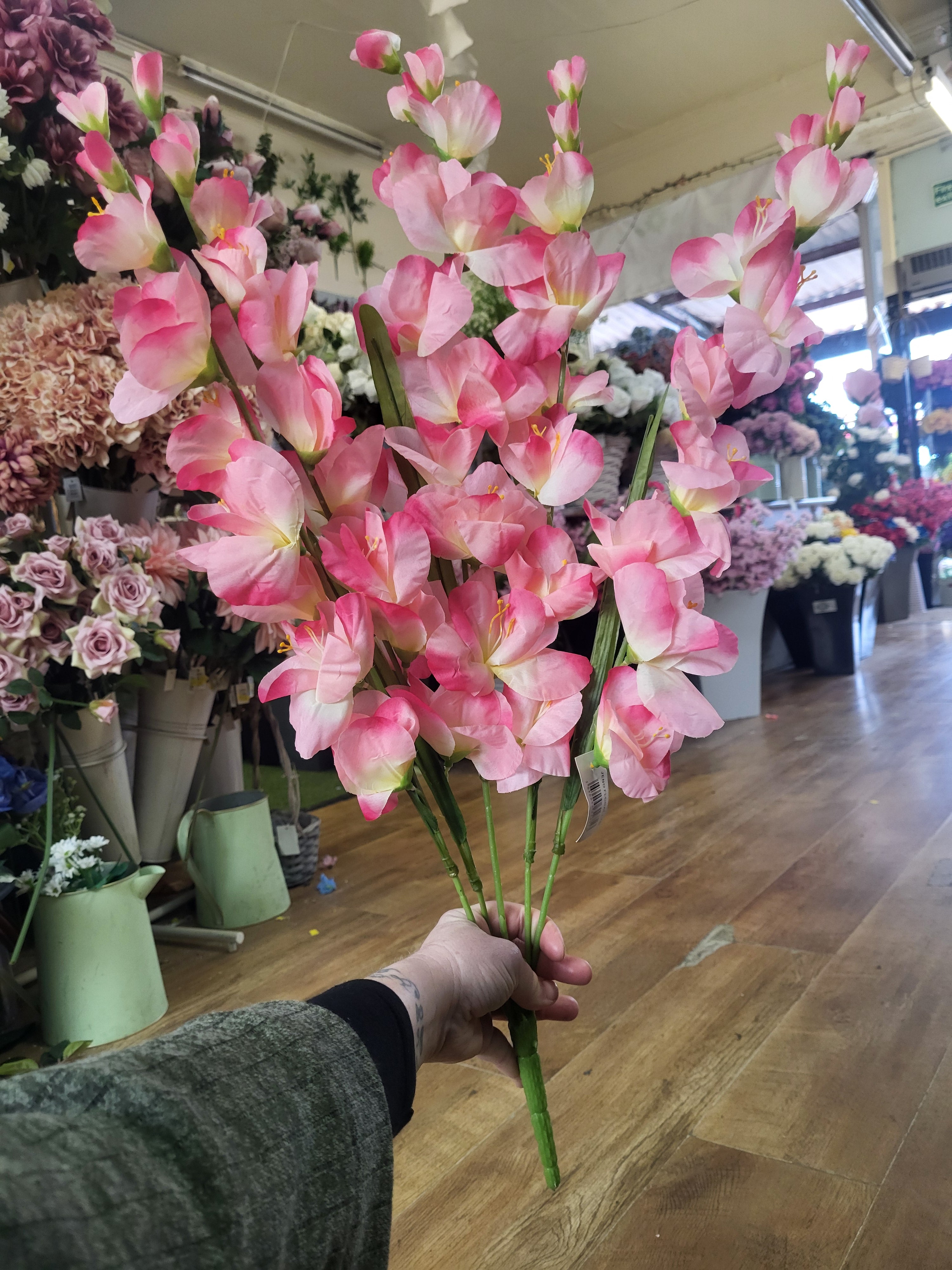 Large 5 stemmed bunch of pink gladioli image 0