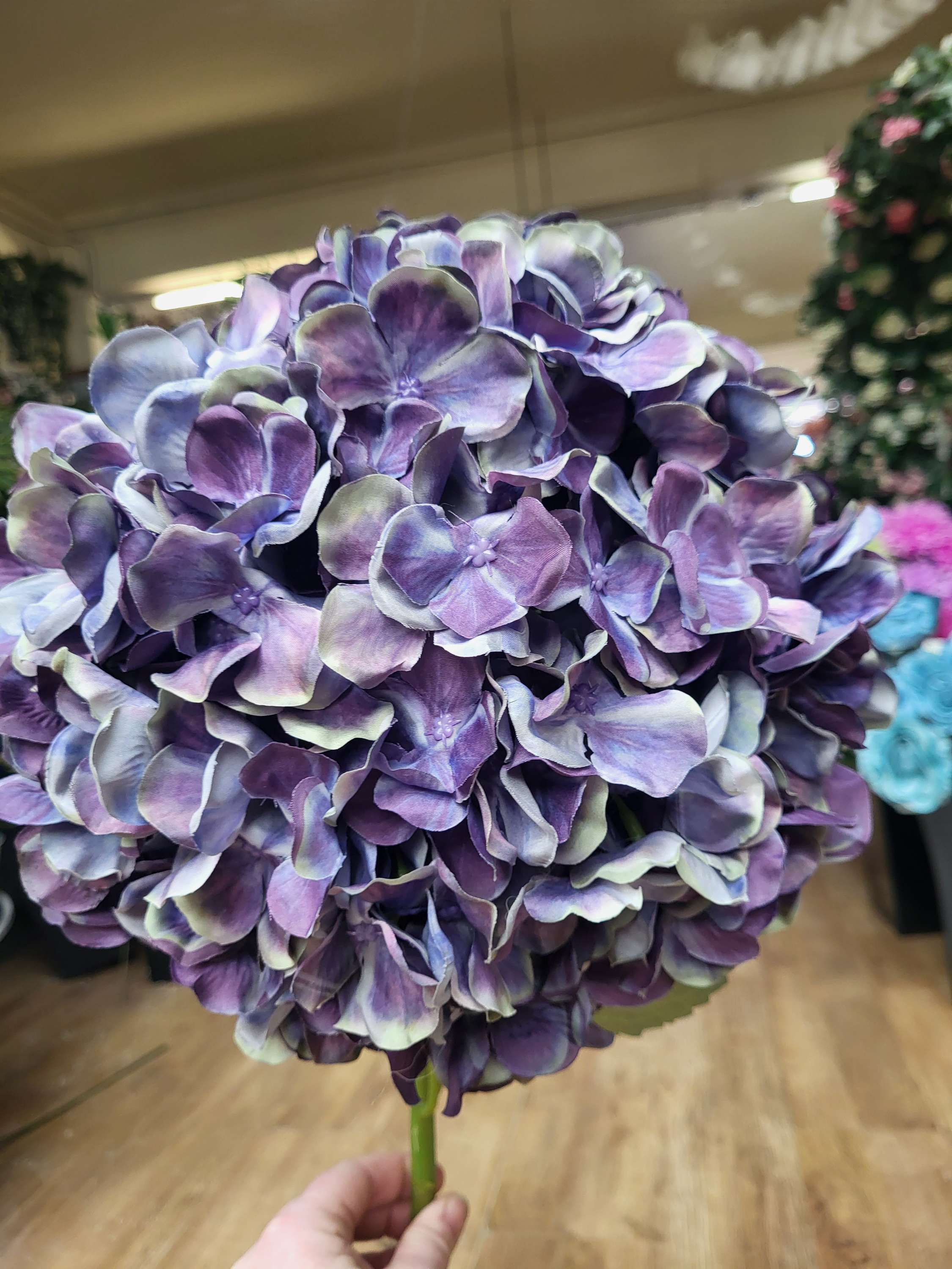 Giant head purple premium hydrangea  image 4