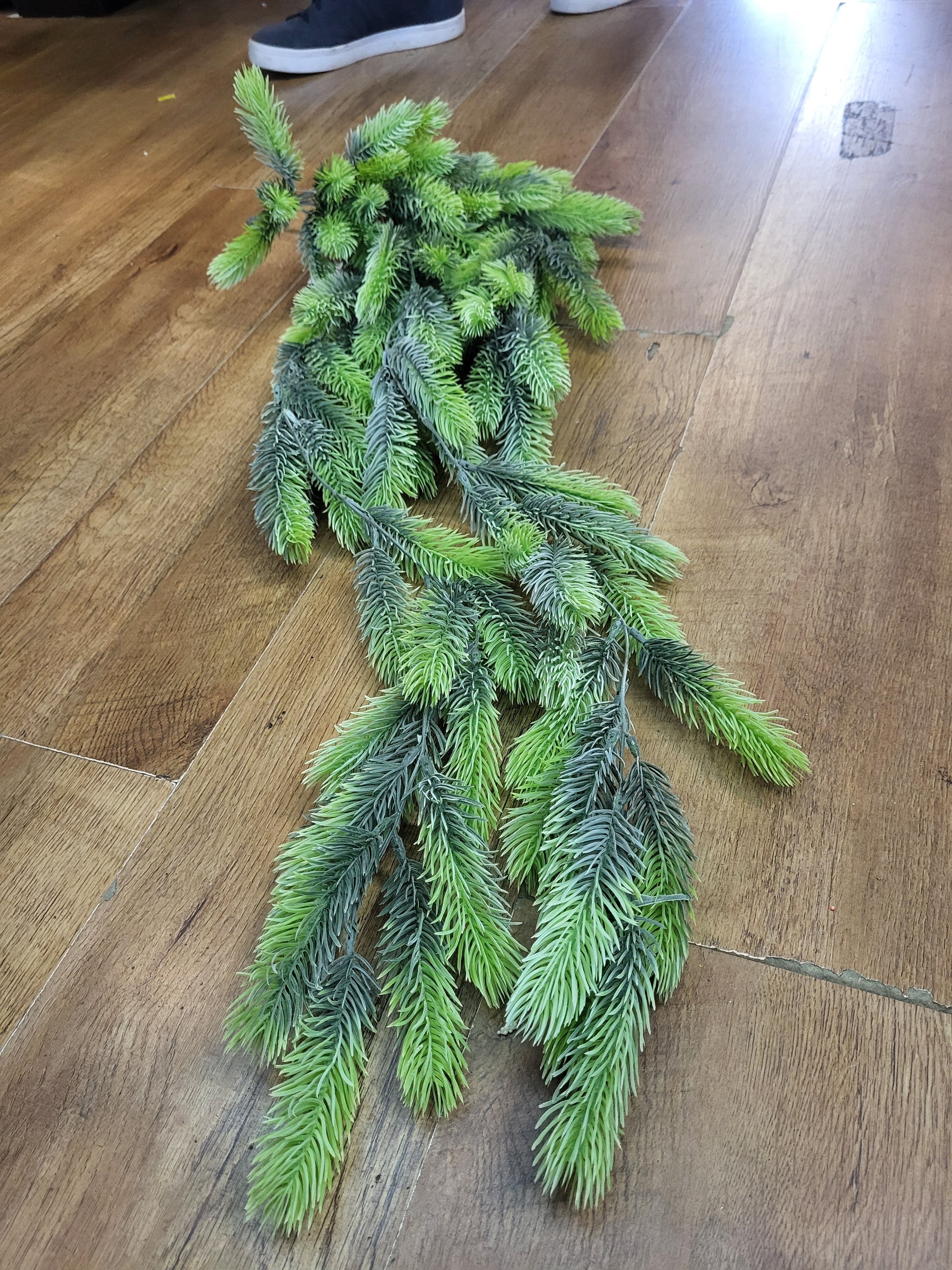 Hanging/trailing Bushy Natural green winter spruce image 0