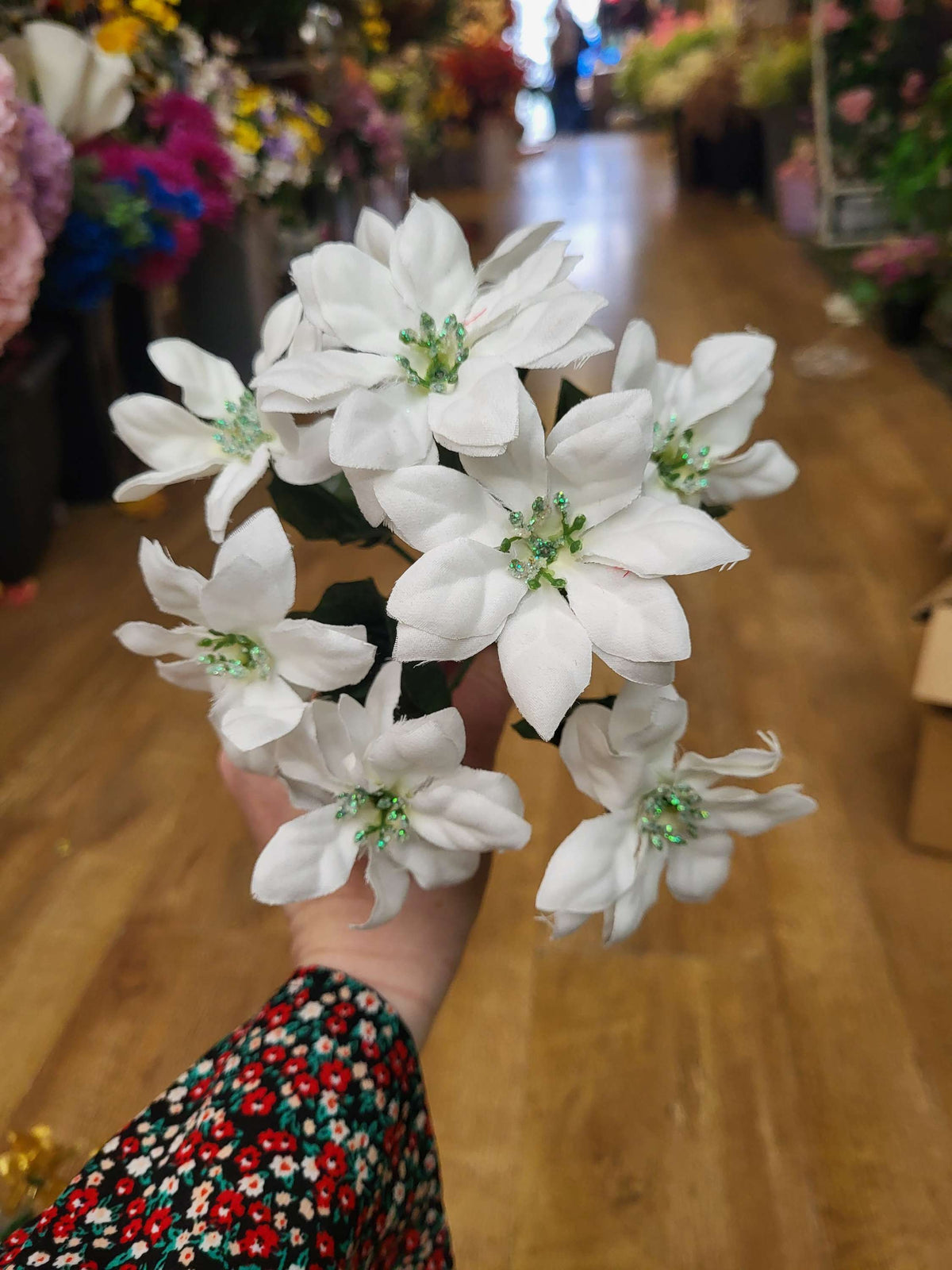 Mini poinsettia bunch - 4 colours available image 4