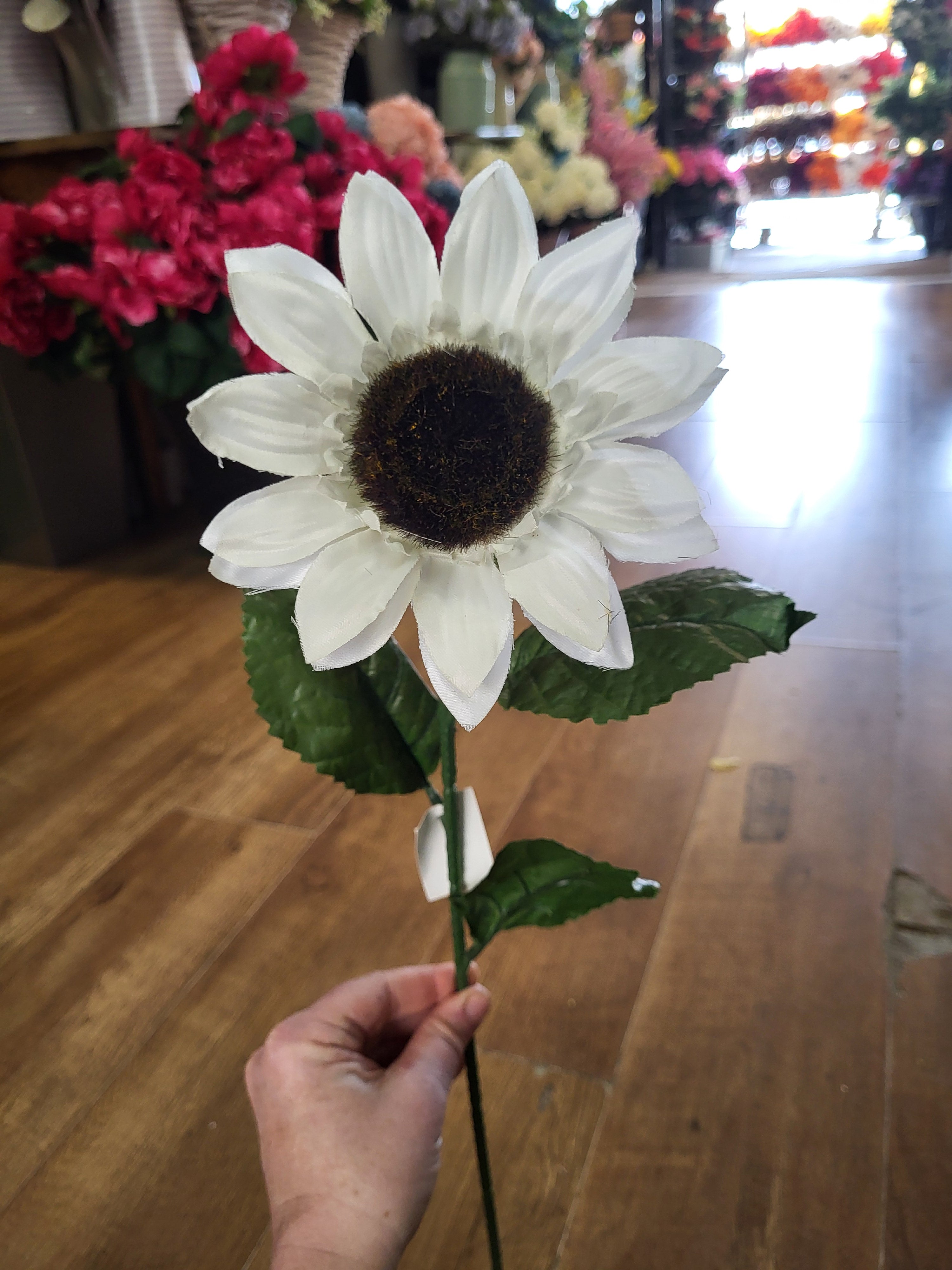 Clearance!! Long stem white sunflower  image 0