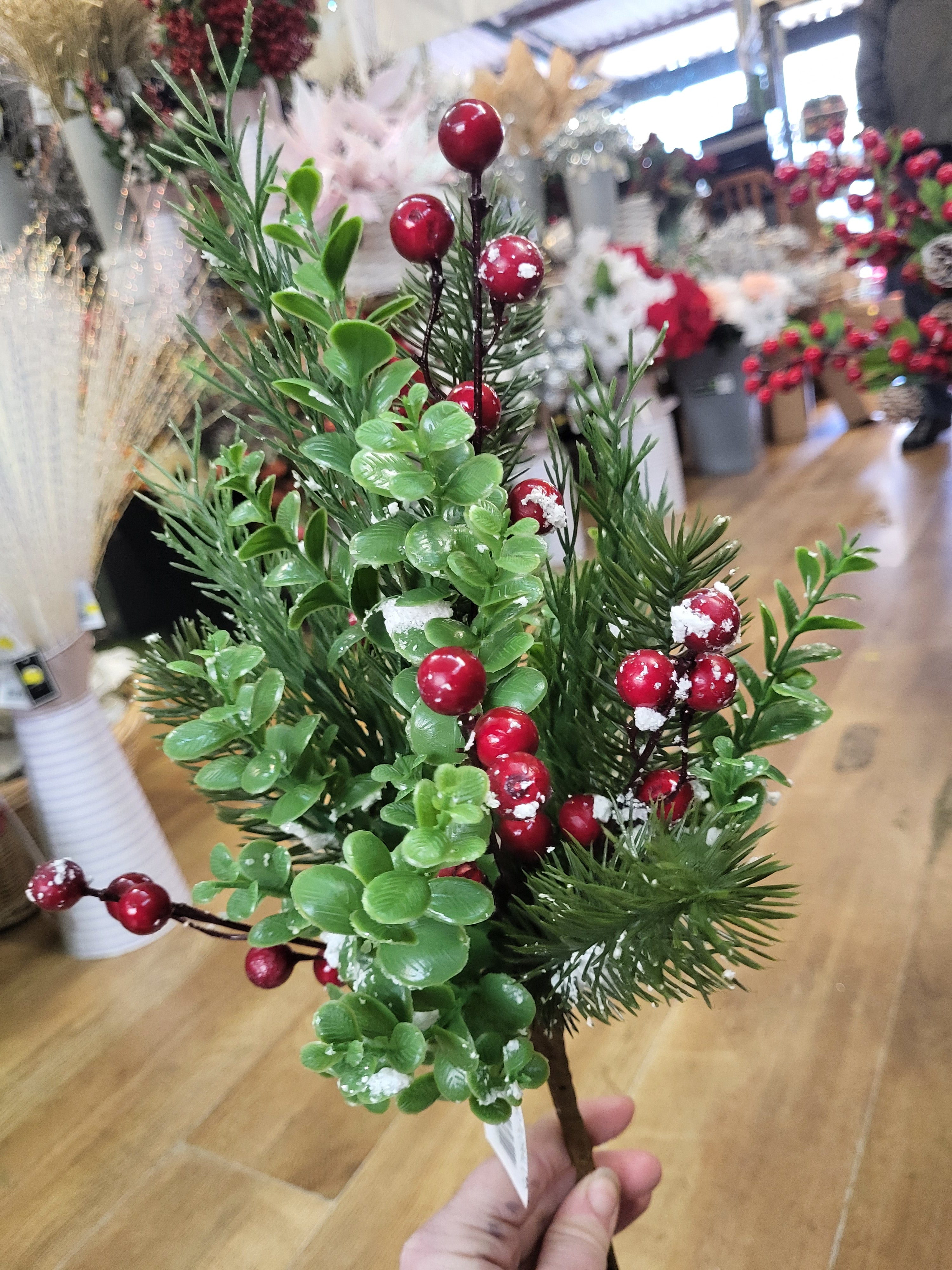 Snowberry/eucalyptus/pine bush image 1