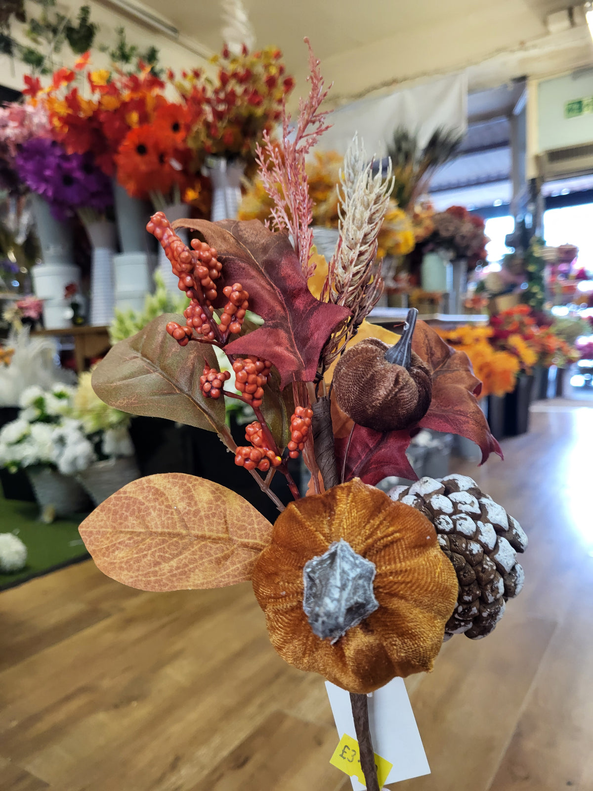 Velvet pumpkin, cones and mixed autumnal foliage branch image 0