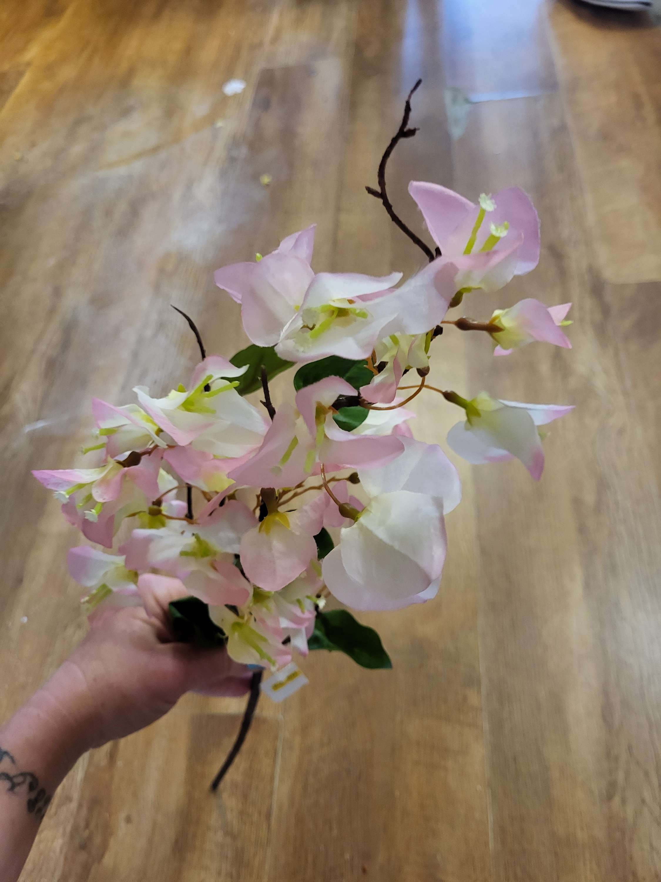 Pink bougainvillea stem image 1