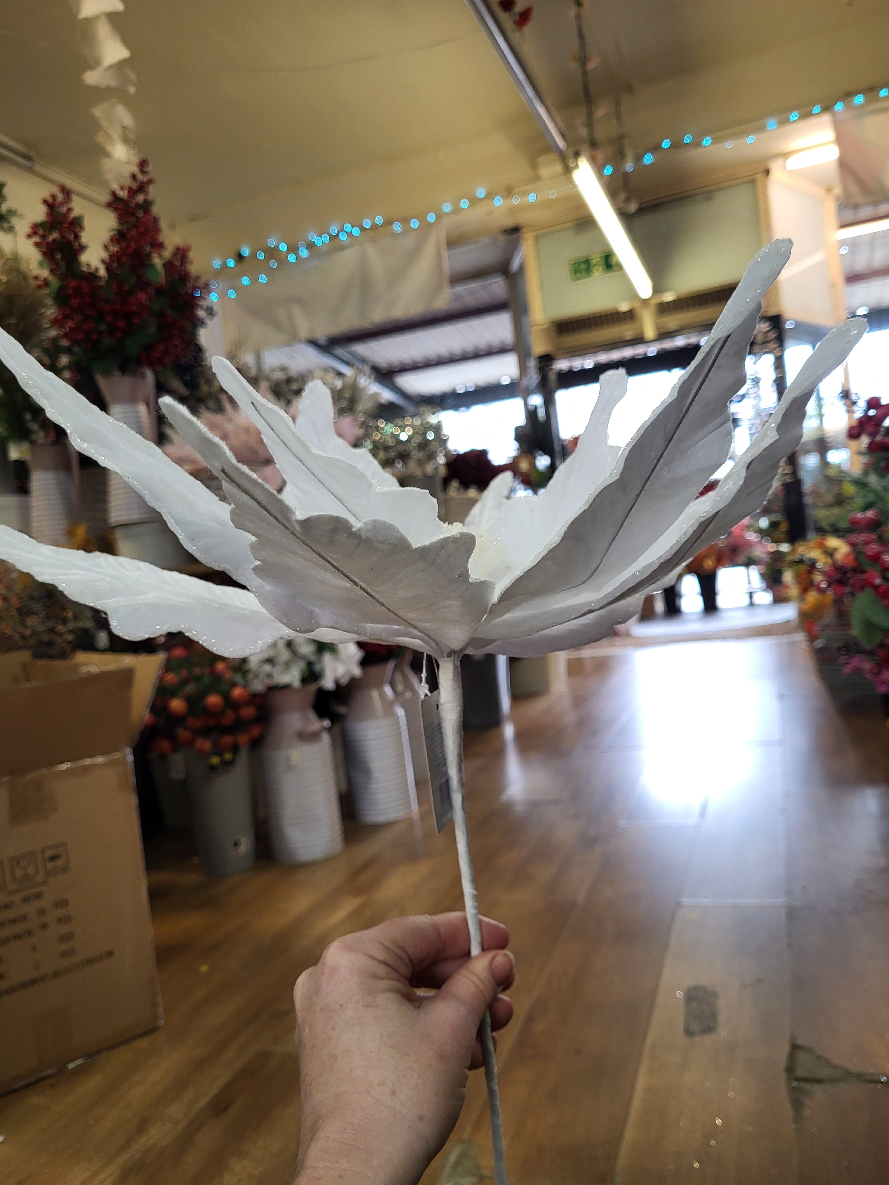 Luxury 50cm white velvet with glittered edge giant single poinsettia image 3