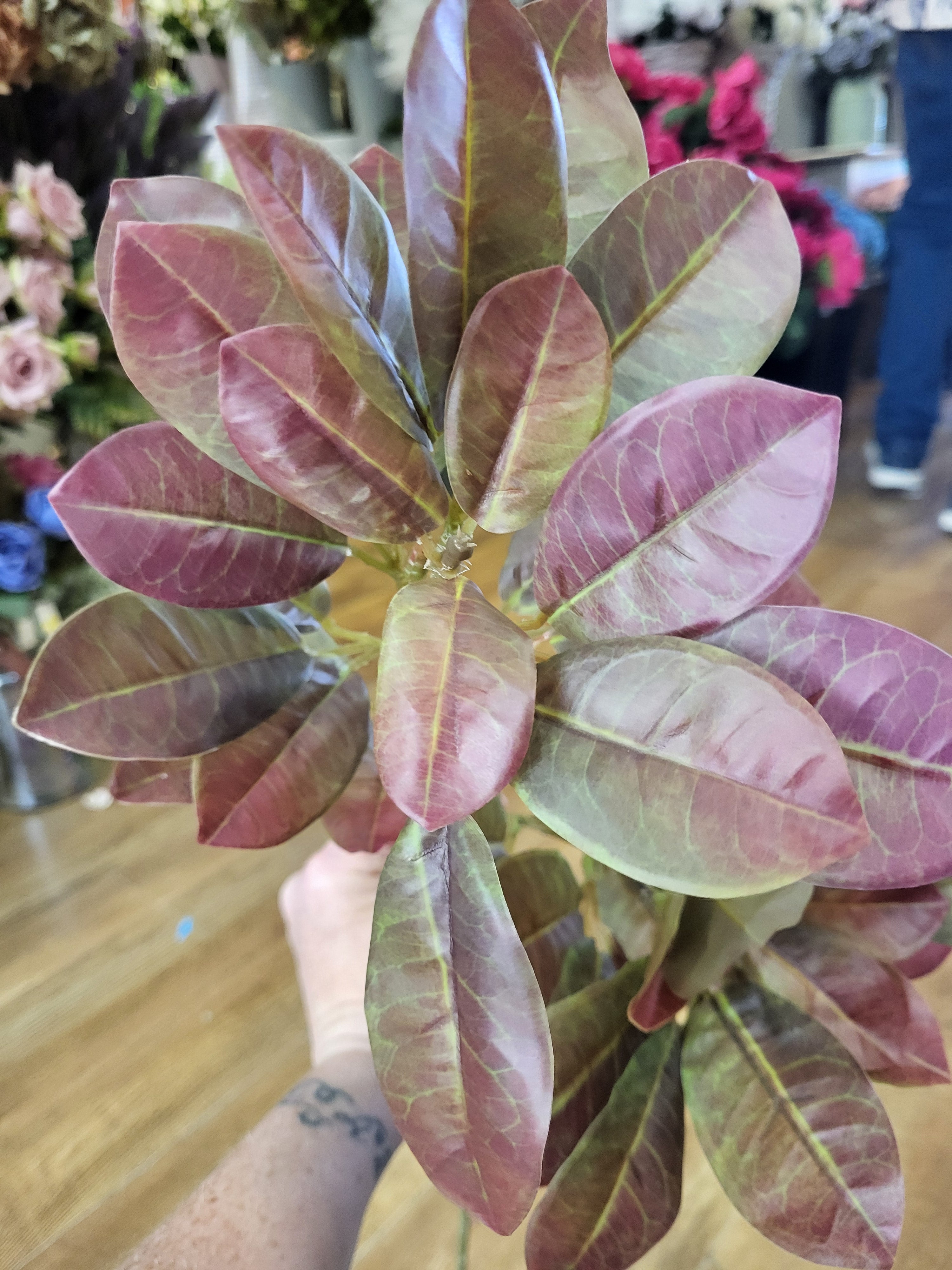 Long stem red/green mountain laurel spray image 2