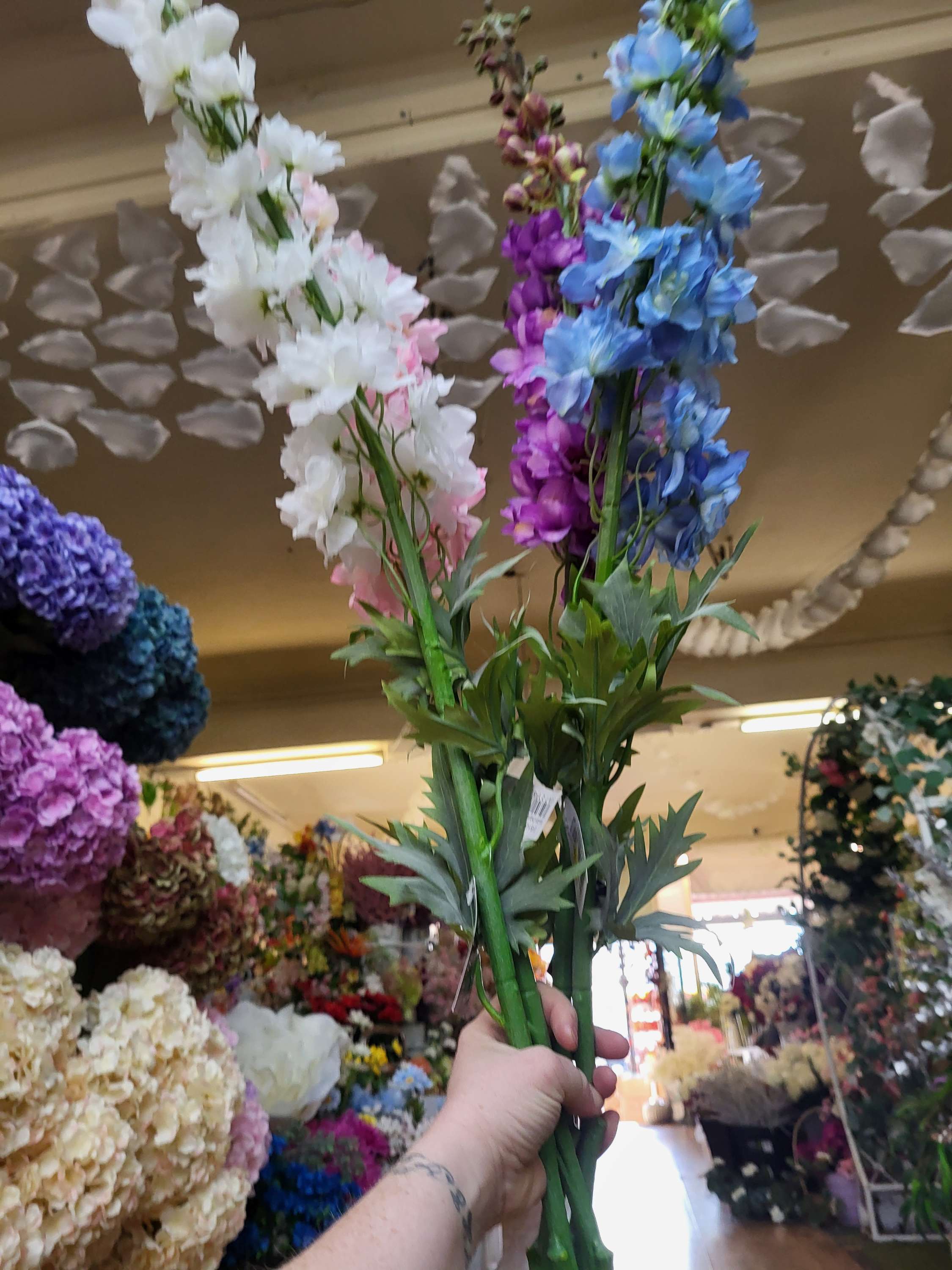 Giant delphiniums!! 137cm tall! - 4 colours available image 13