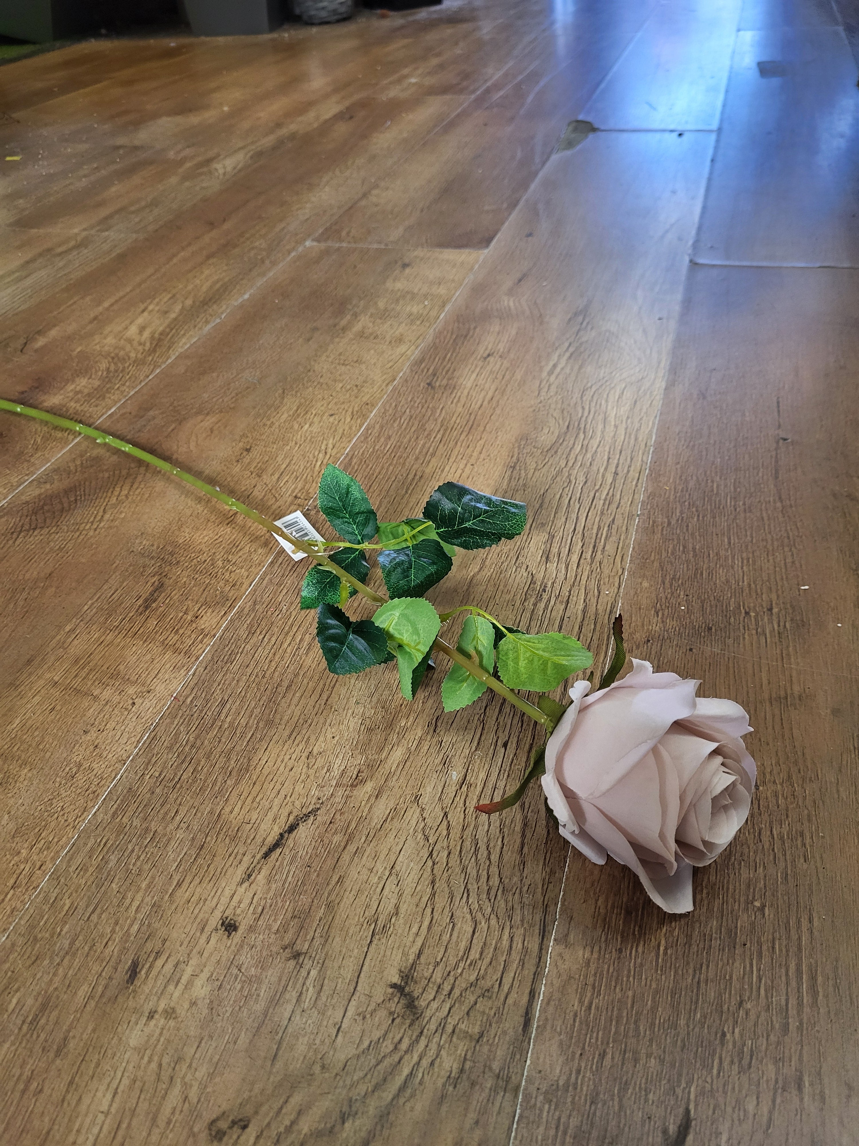 Single Nude Harper rose  image 1