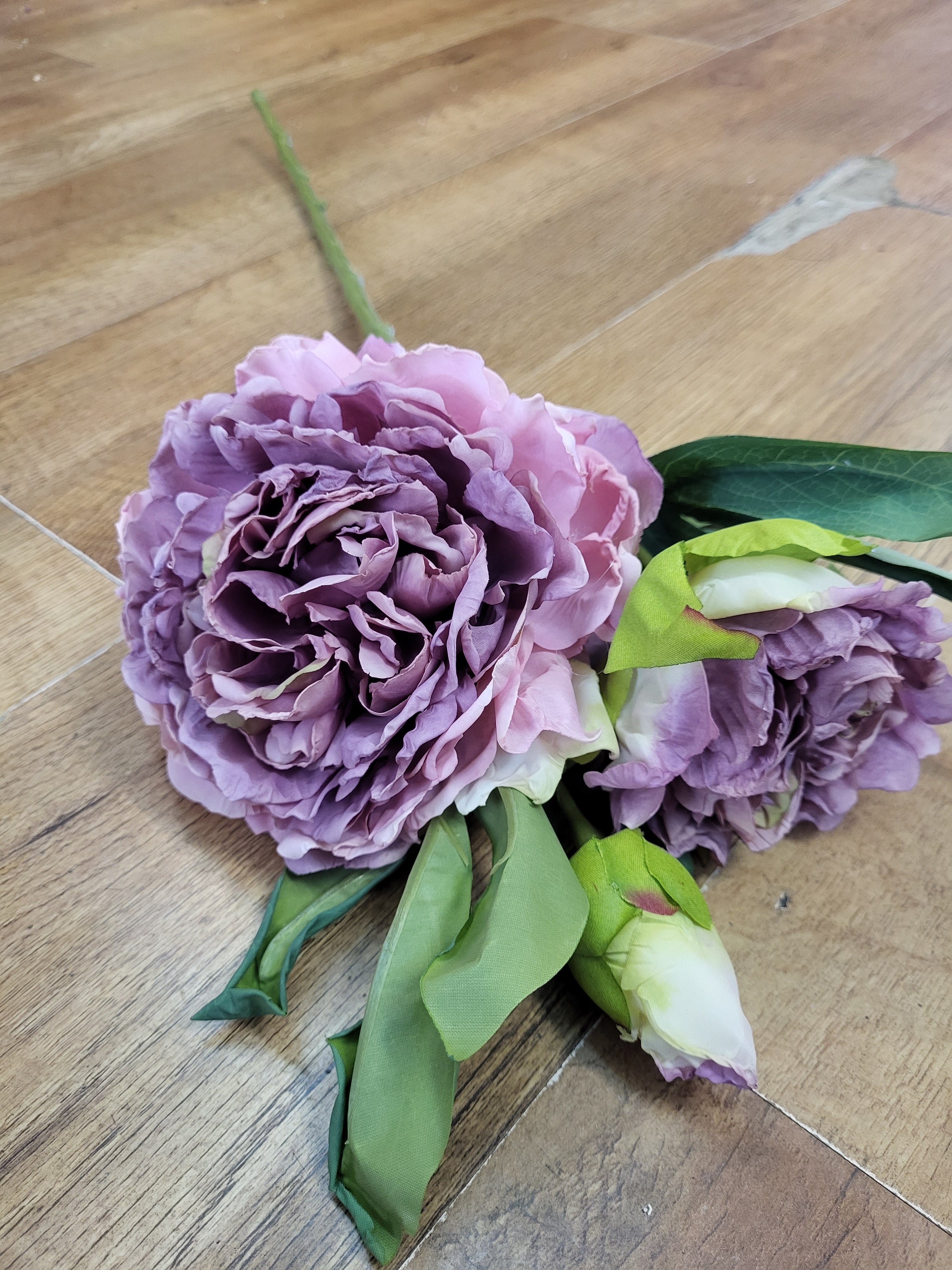 Dried inspired Vintage Mauve Eleanor peony  image 0