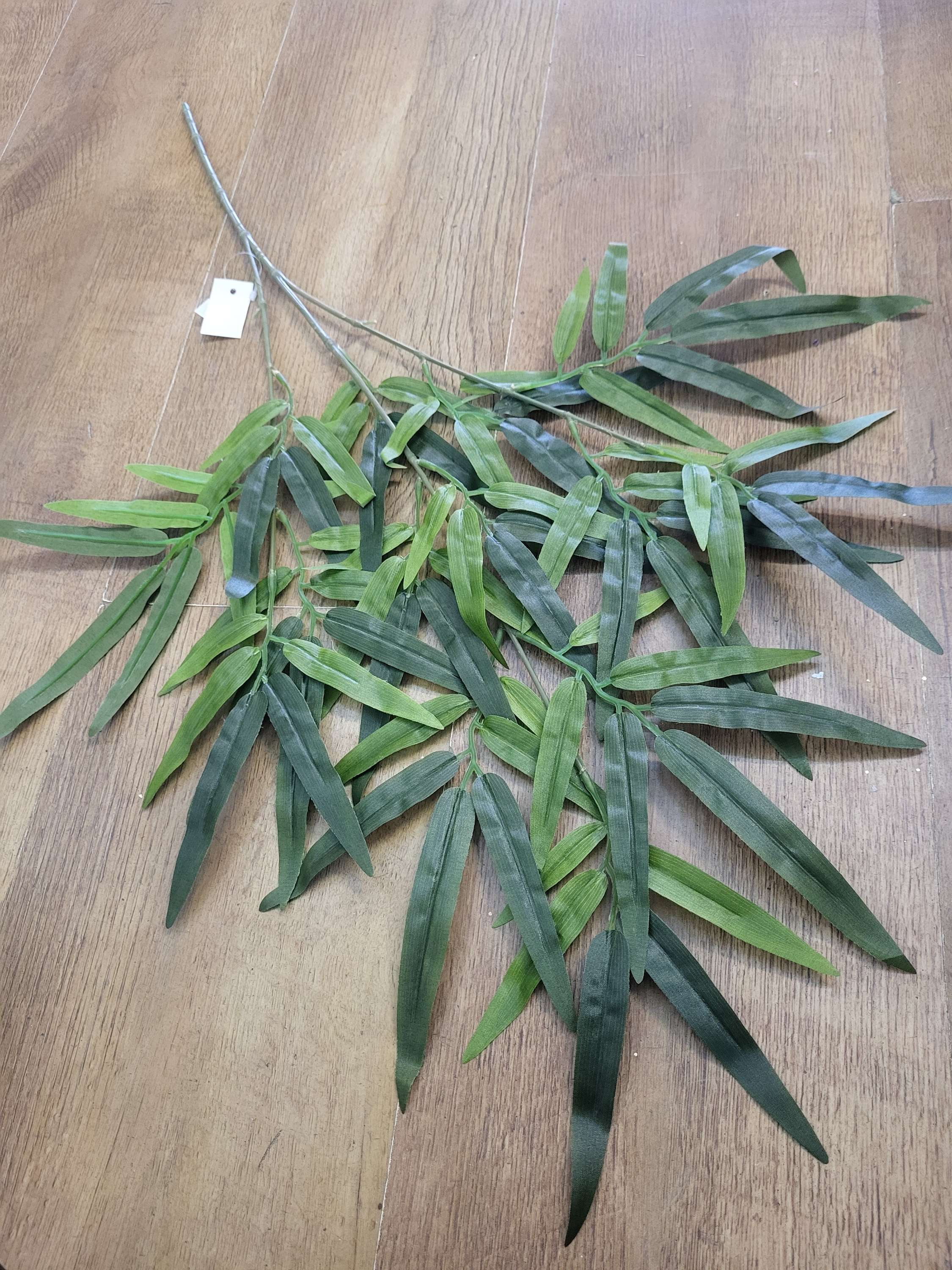 Bamboo leaf spray image 0