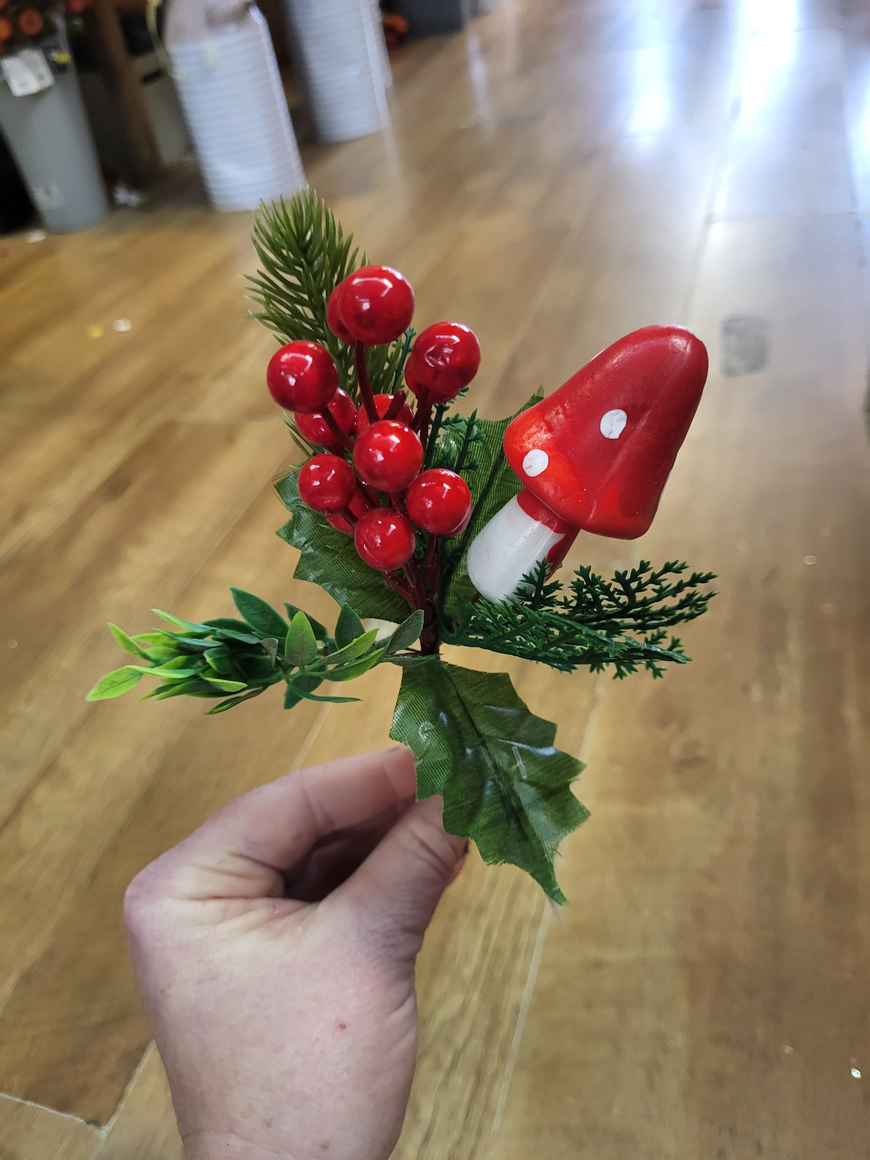 Toadstool and berries pick image 0