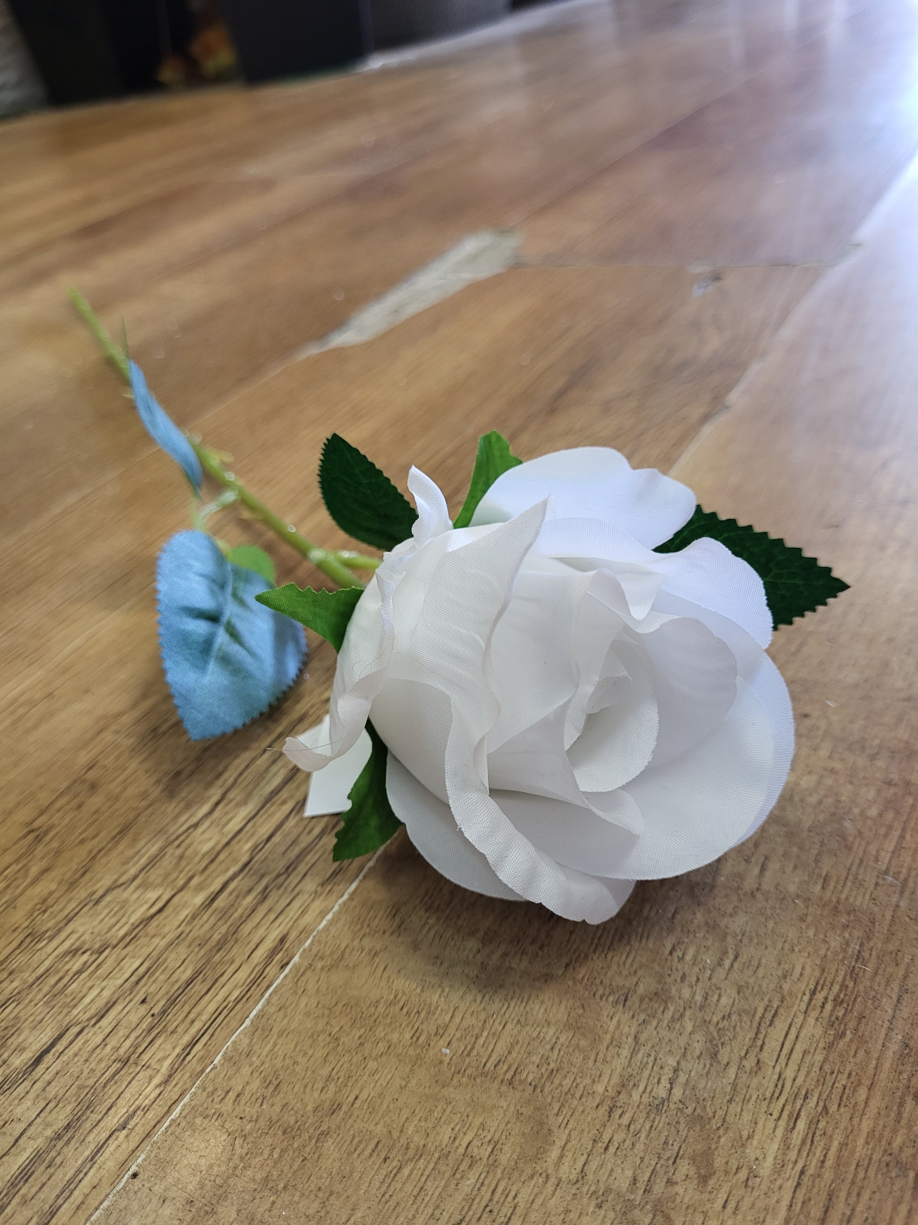 Single white Celia Rose  image 4