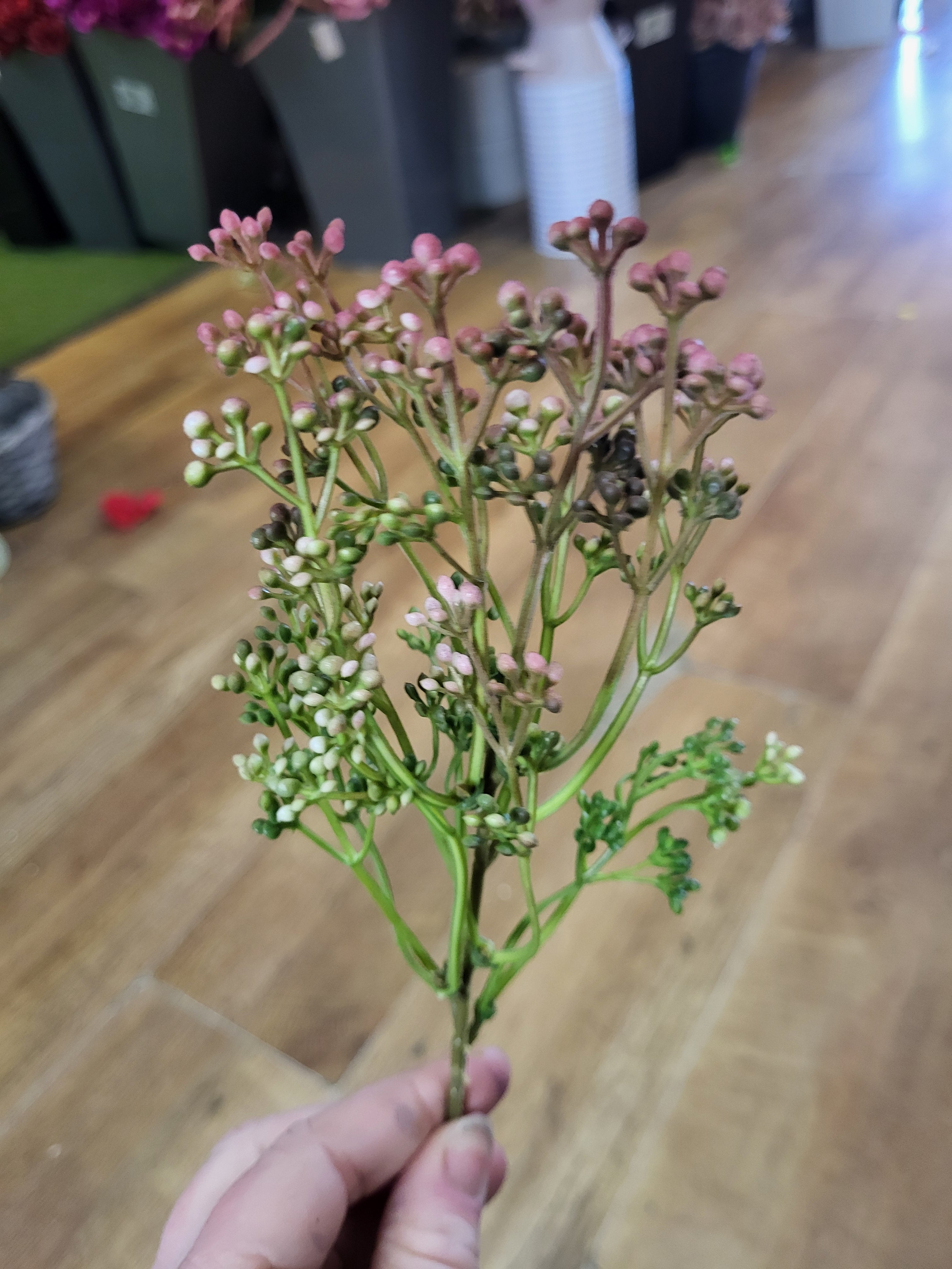 Mulberry tinted Felicity bud pick  image 2