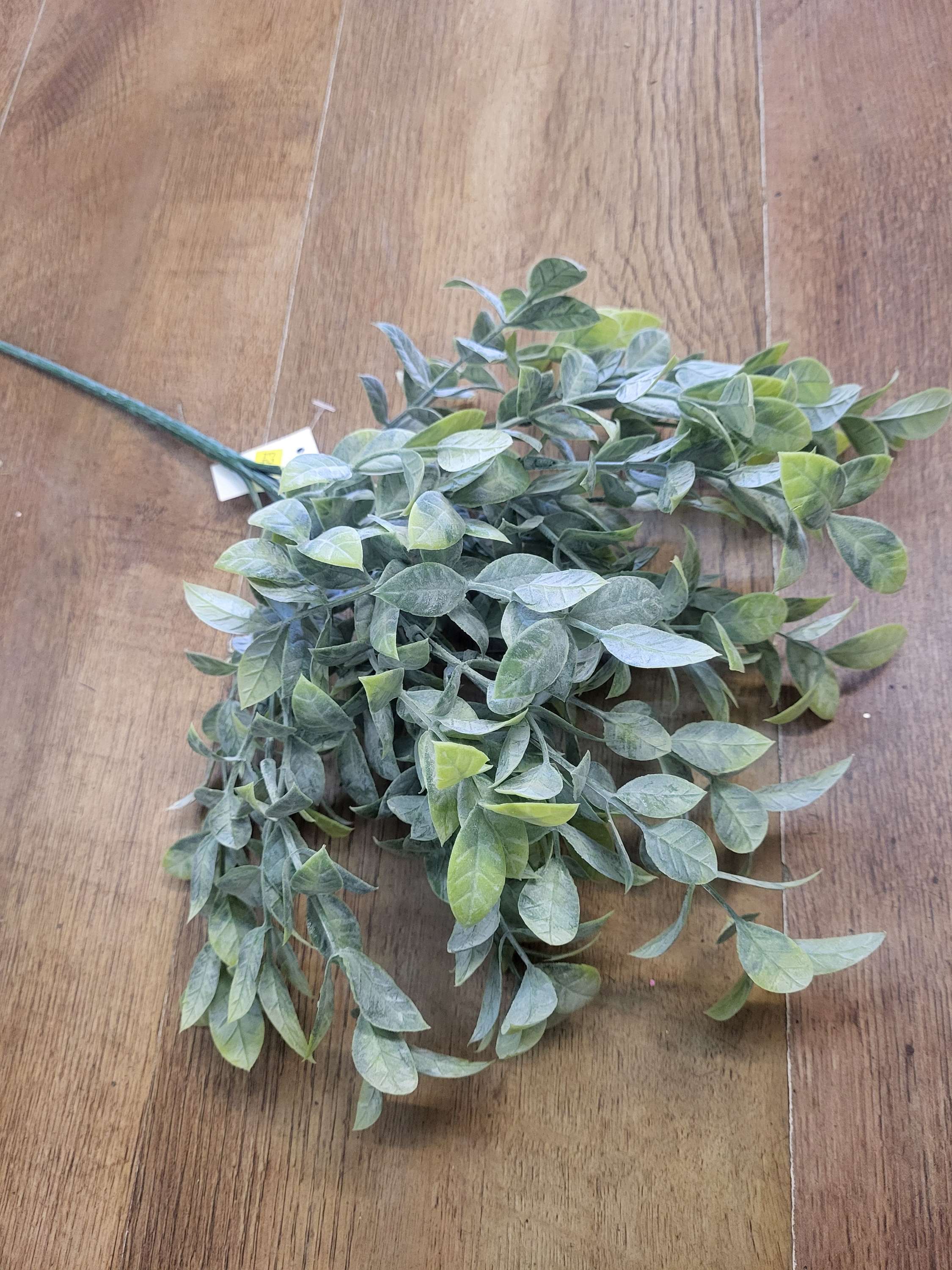 Long stem natural green nagi leaf bunch image 0