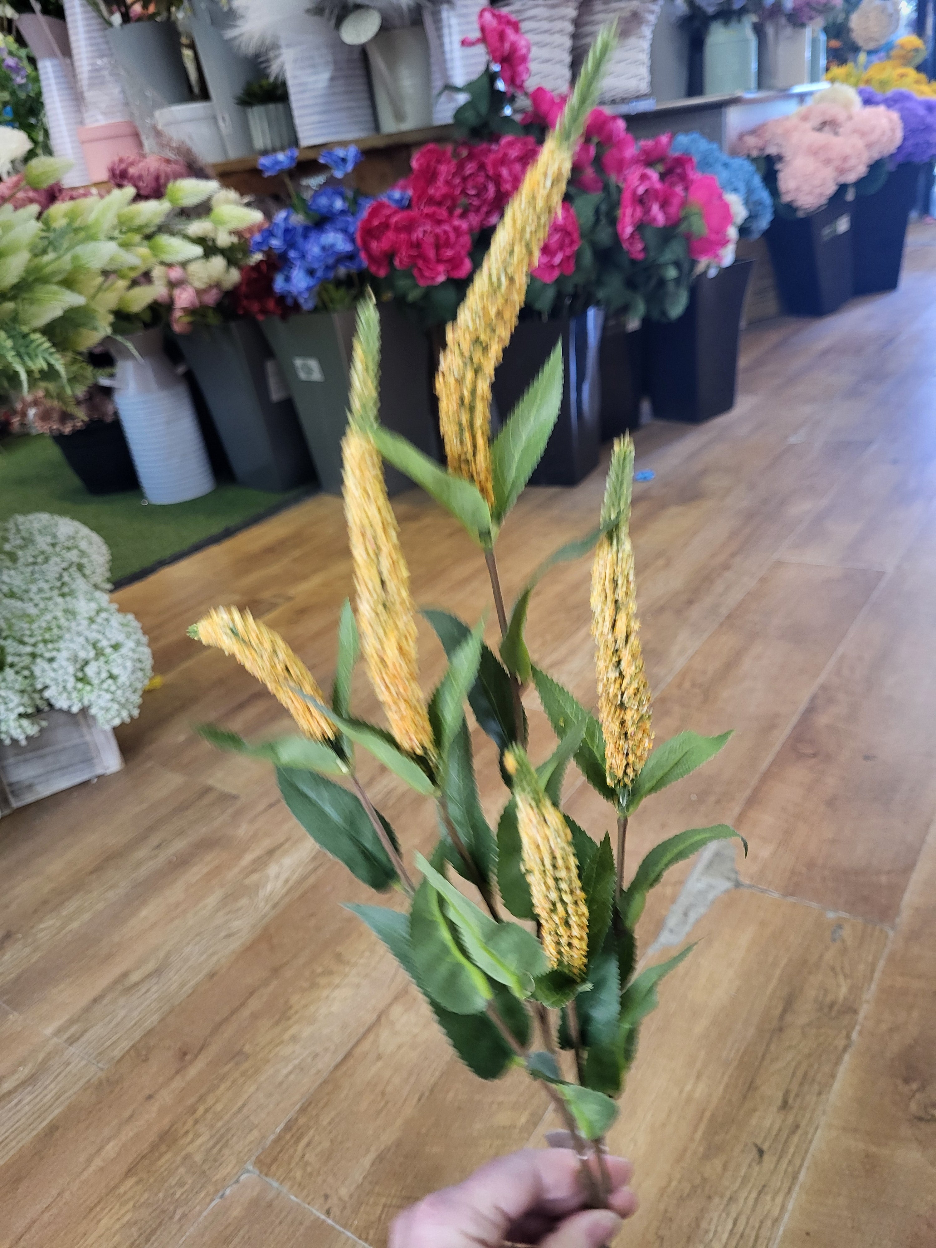 Long stem yellow Veronica spray image 3