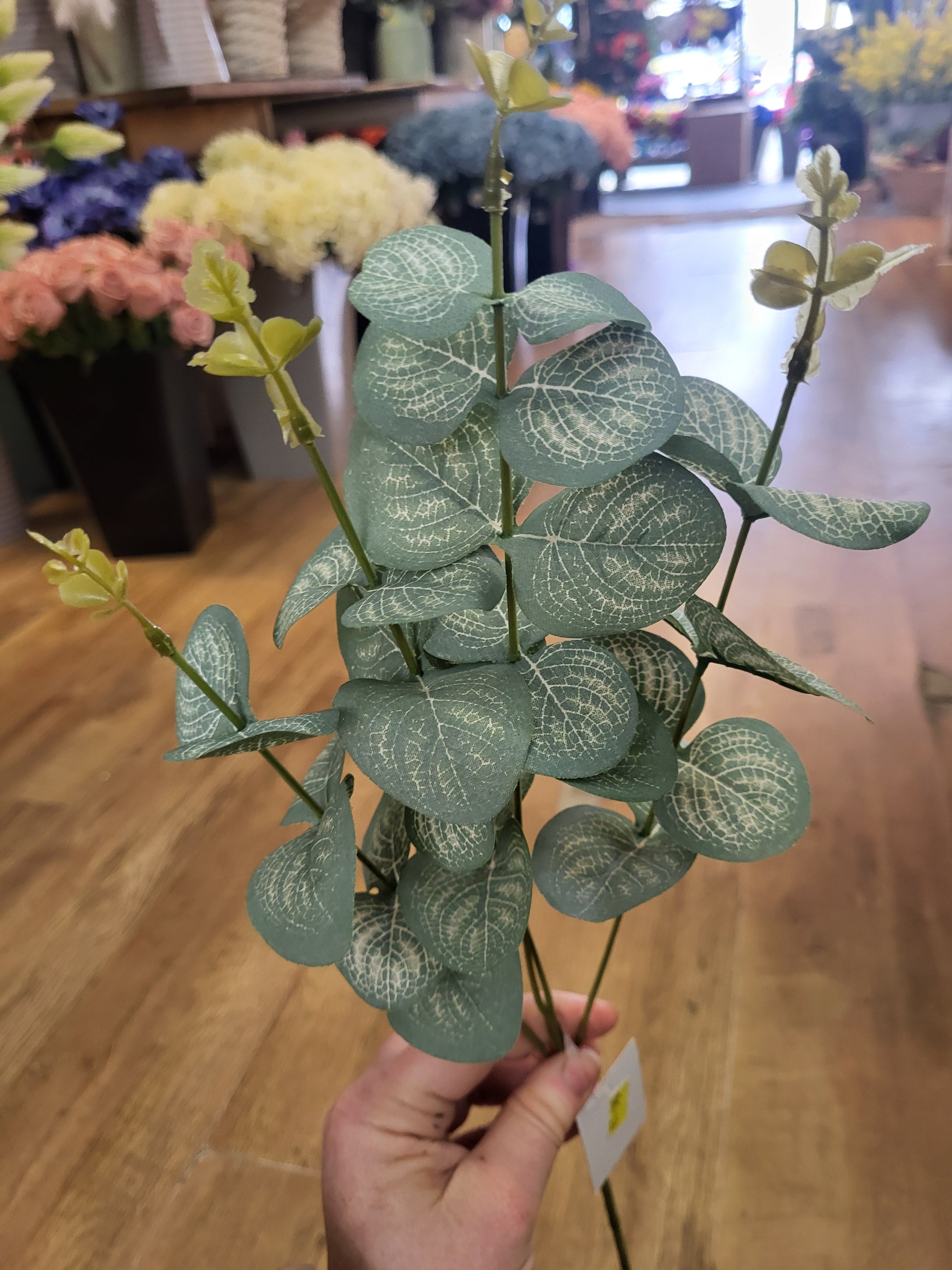 Long stem eucalyptus  - 3 shades available image 4