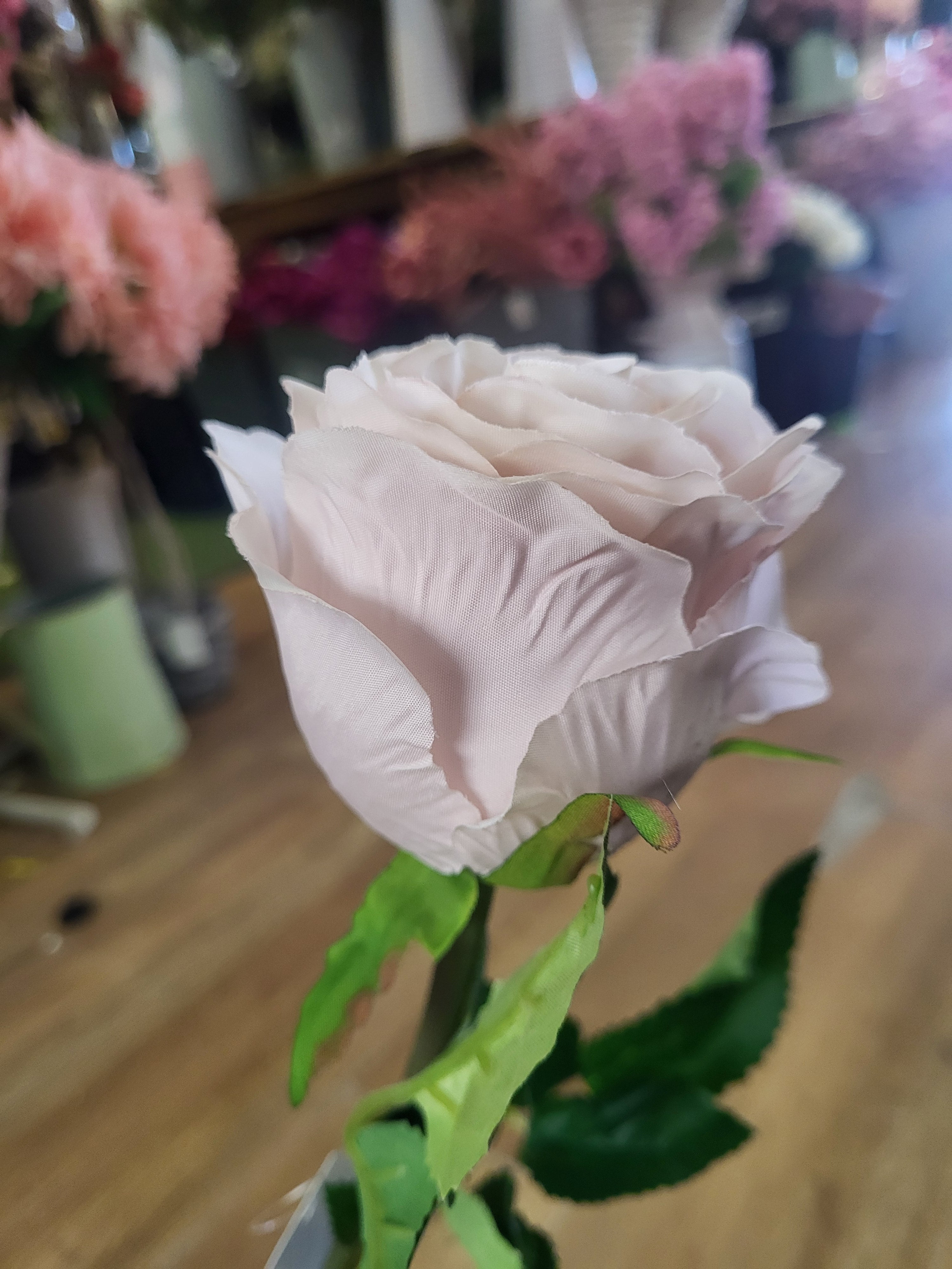 Nude Lila Rose  image 5