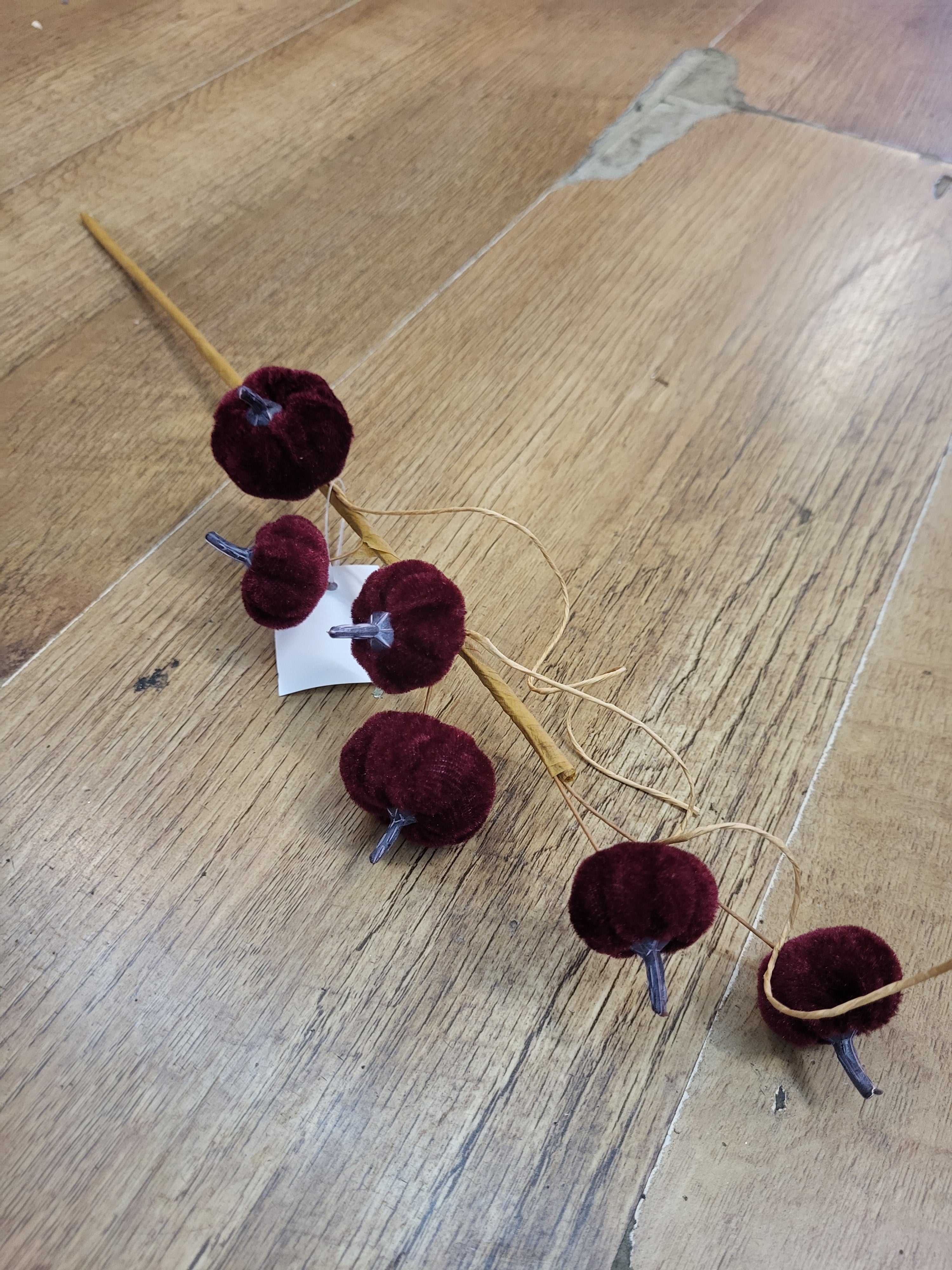 Burgundy velvet miniature pumpkin stem  image 2