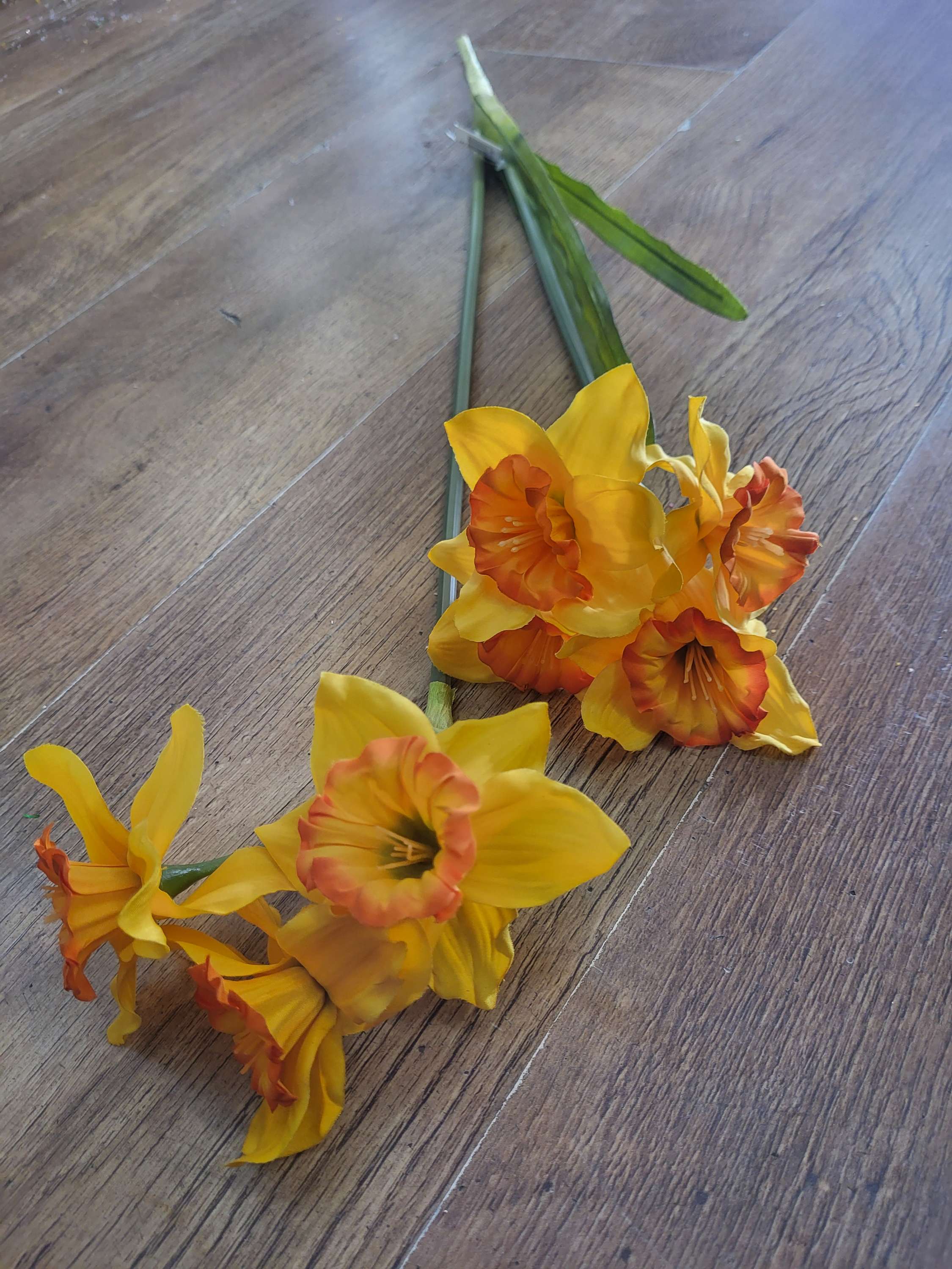 Long stem ruffled daffodil spray image 0