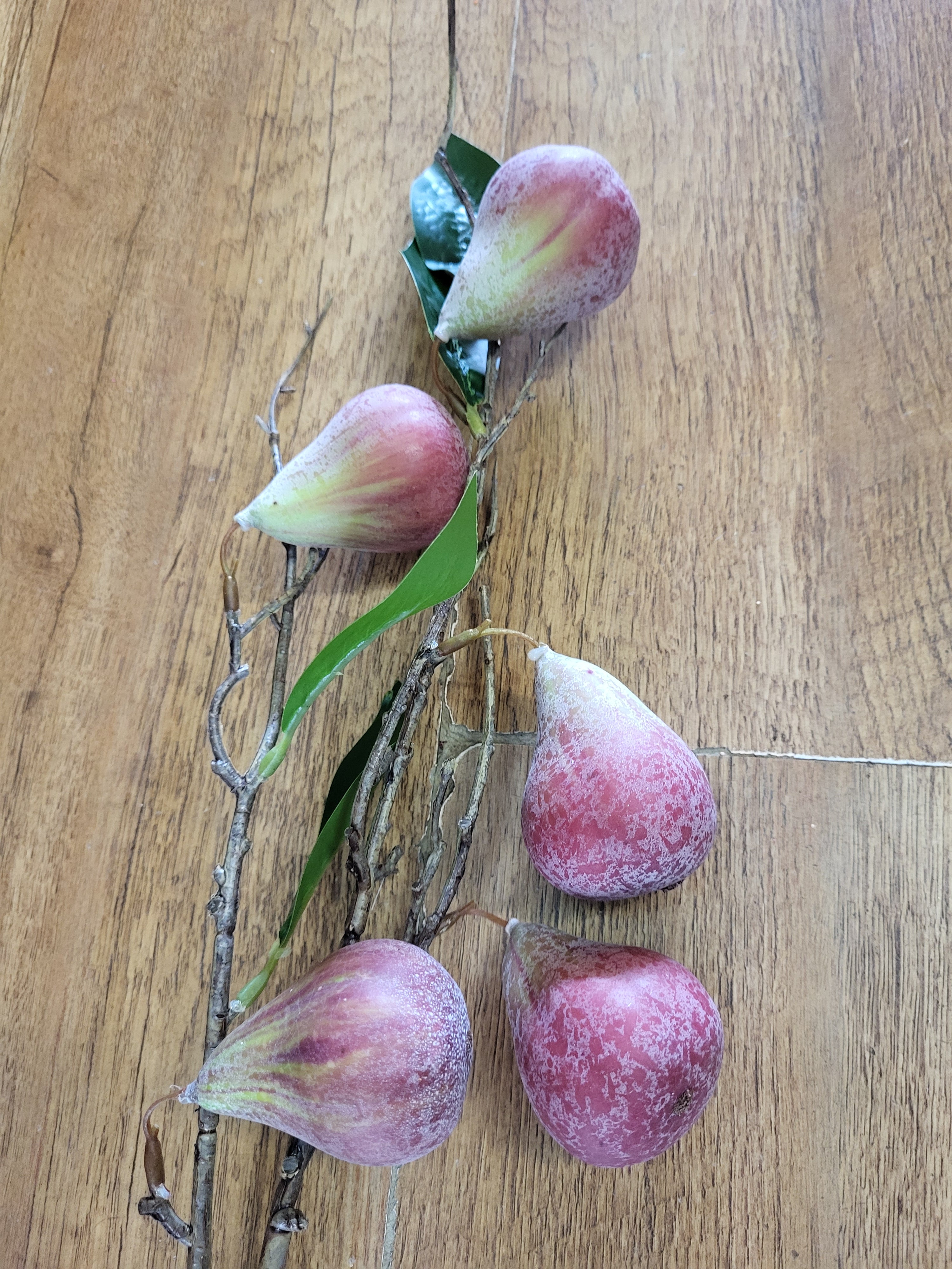 78cm tall Fig branch image 4