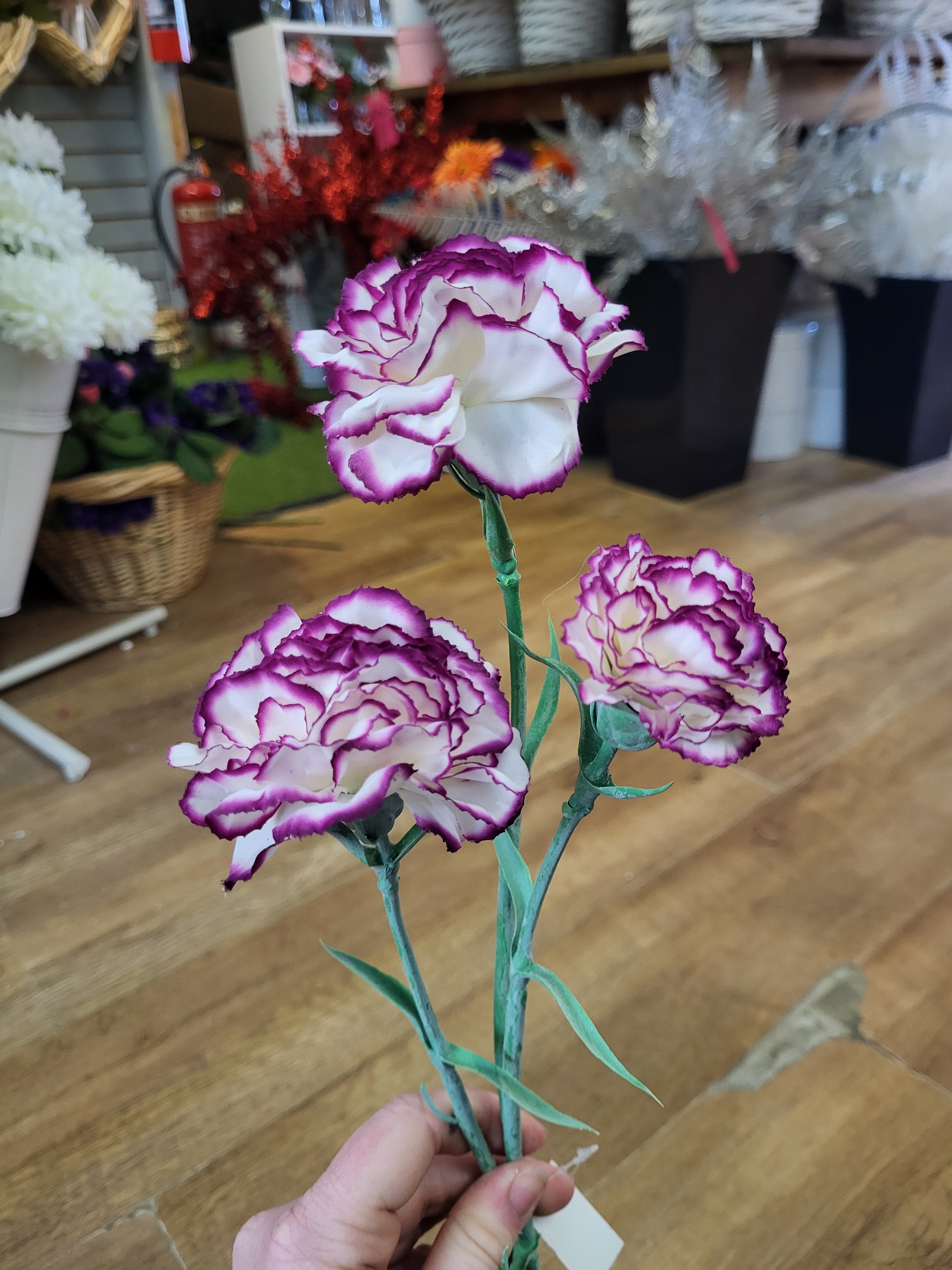 Long stem magenta and white triple head carnation  image 4