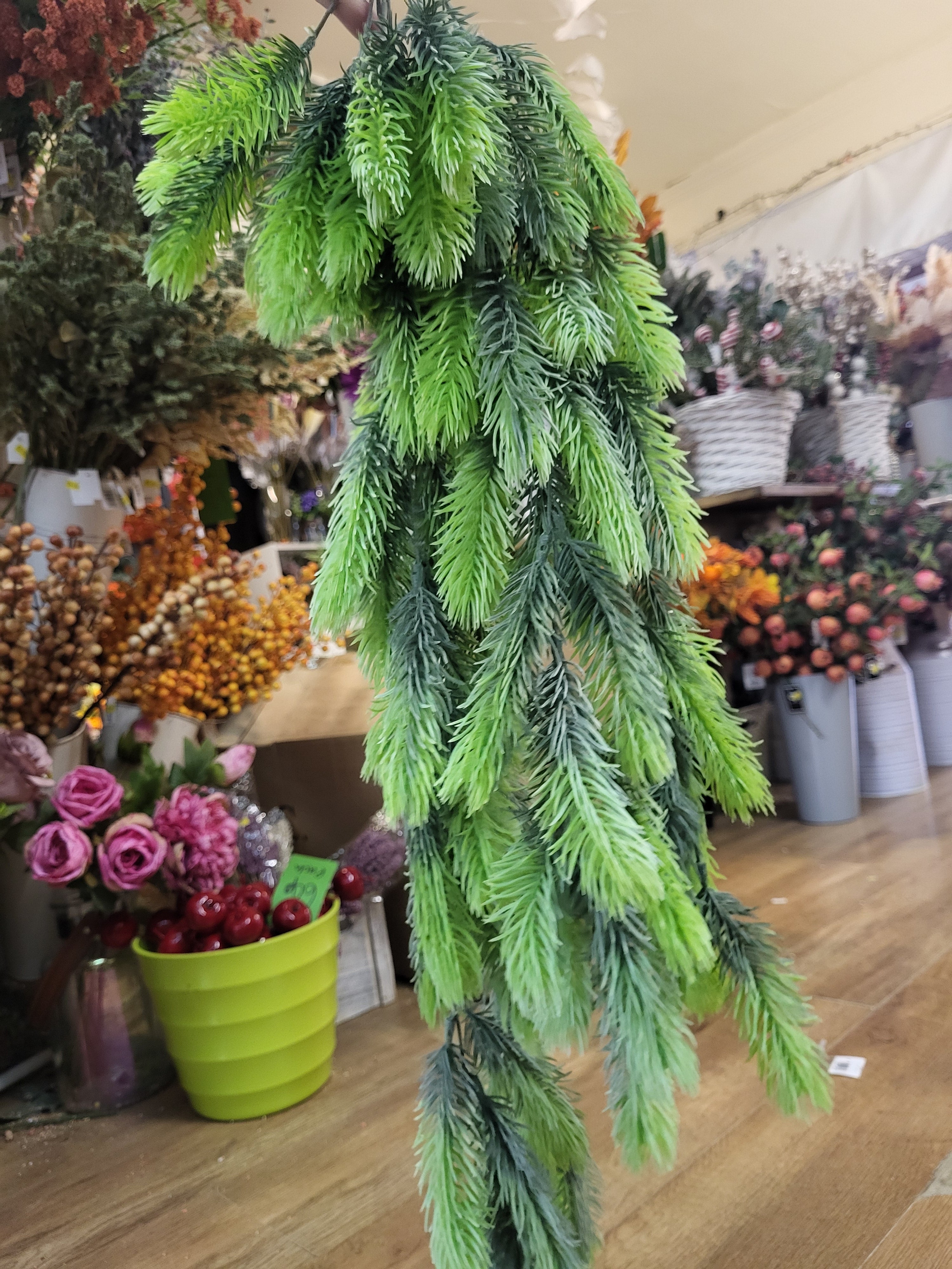 Hanging/trailing Bushy Natural green winter spruce image 2