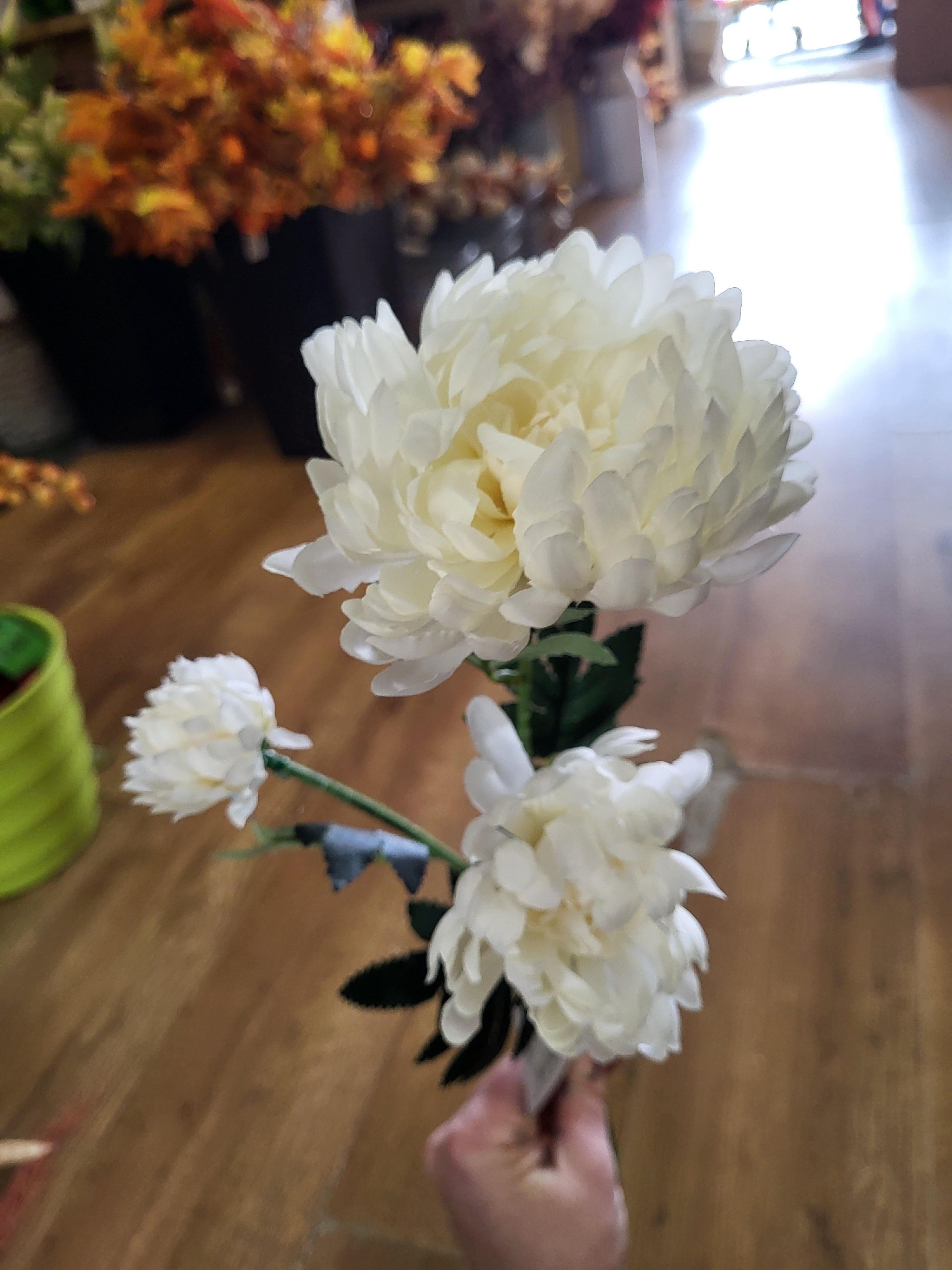 63cm tall Ivory 3 headed chrysanthemum stem image 2