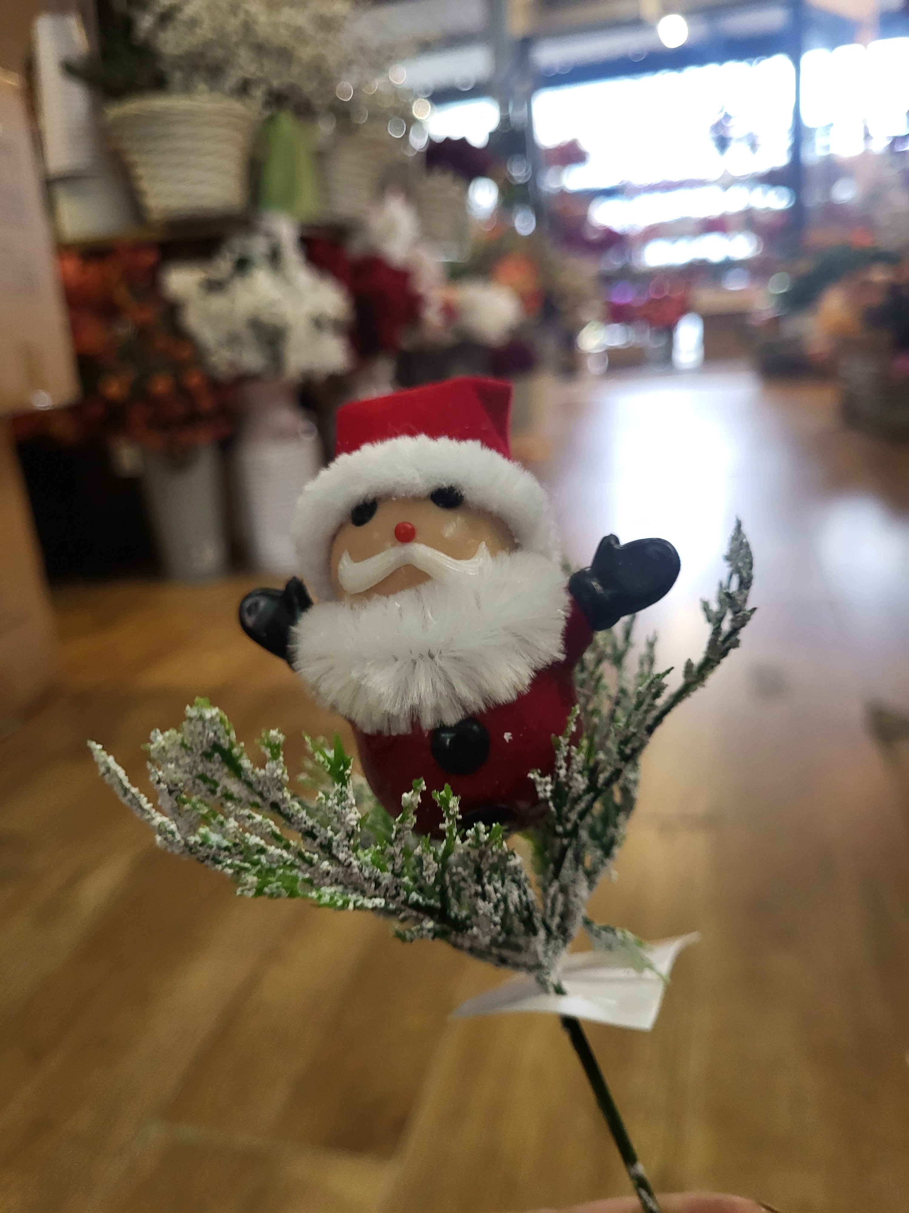 Father Christmas pick image 0