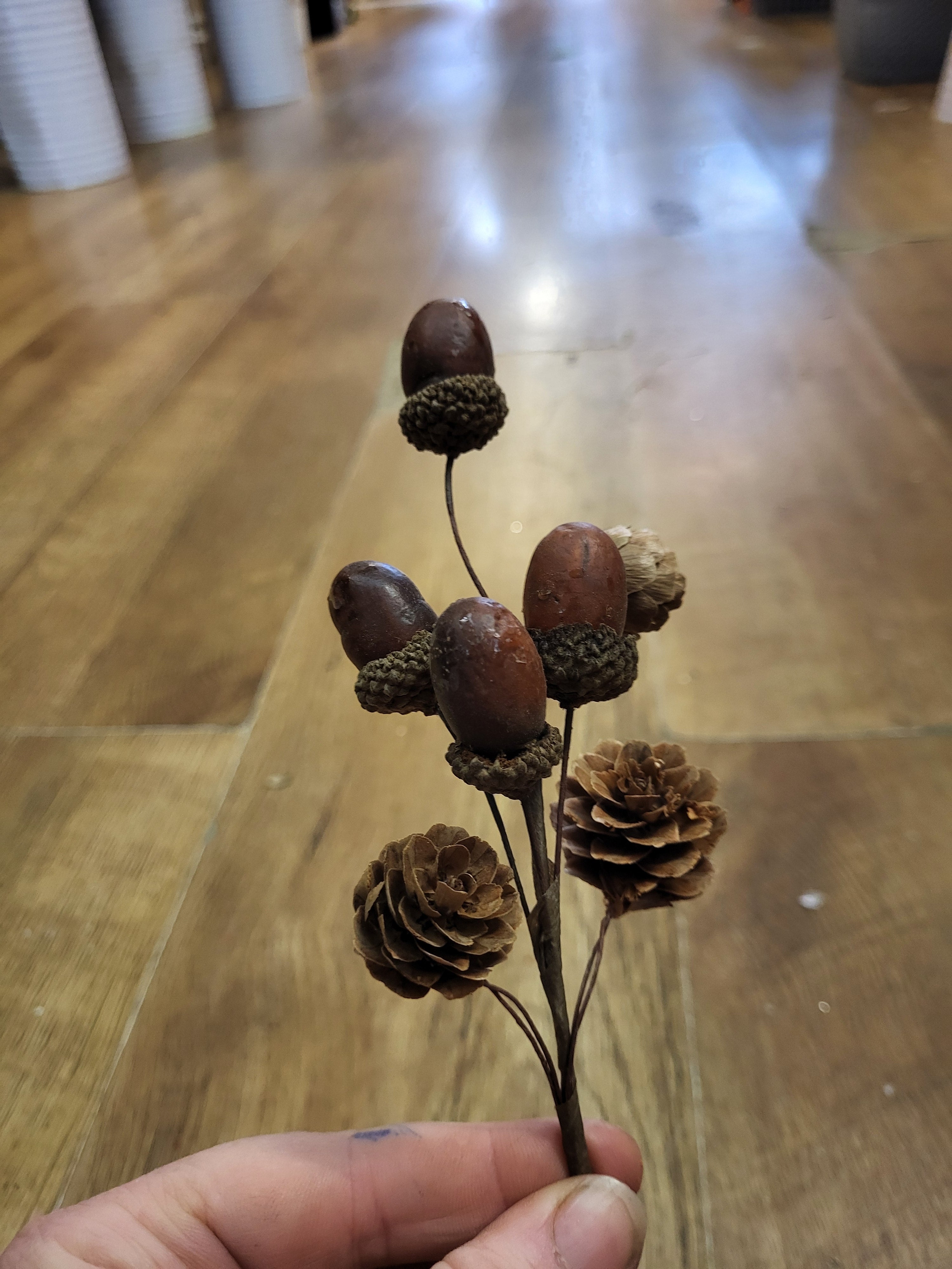 Acorn and cone pick image 3