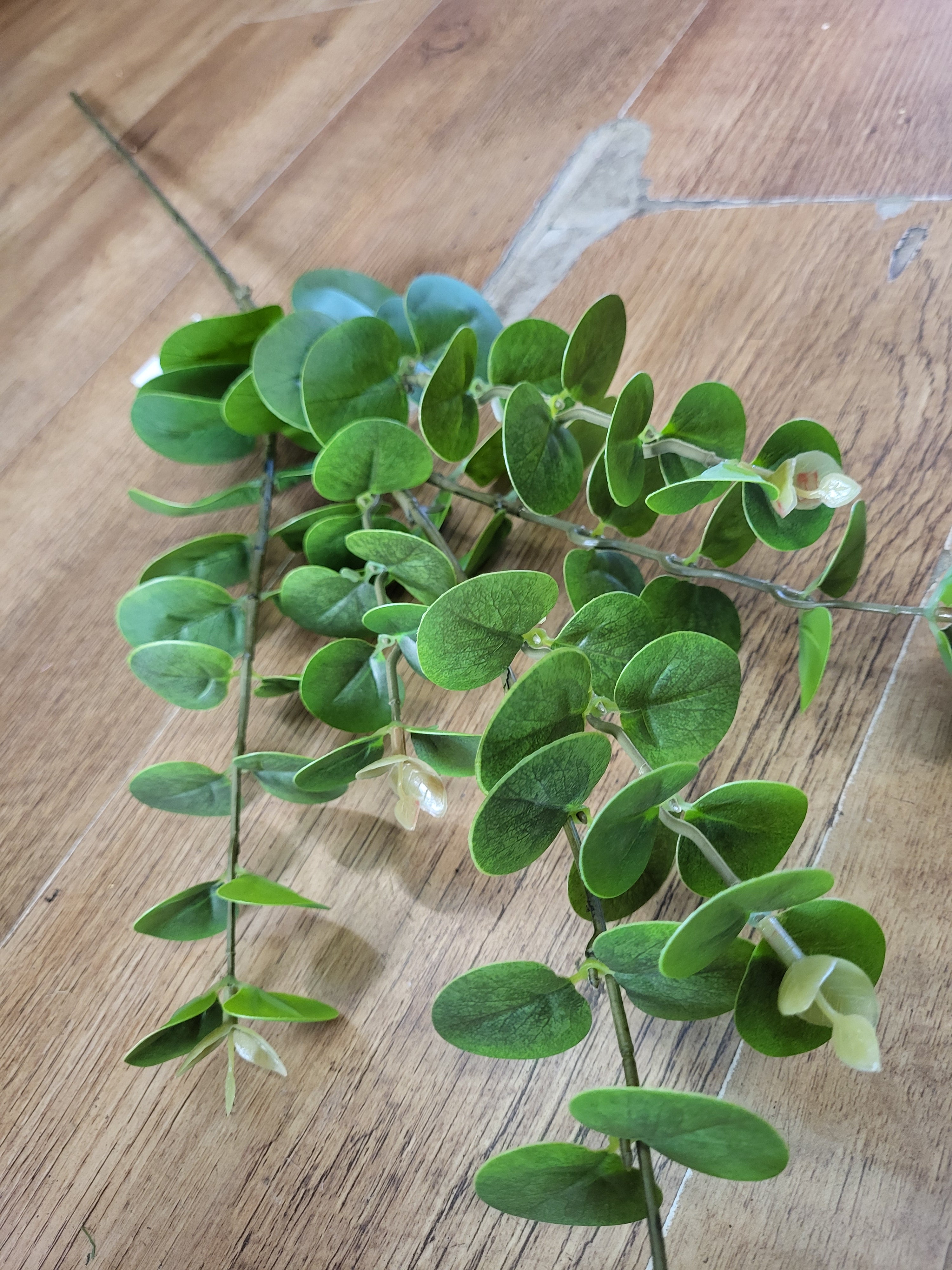 Long stem eucalyptus spray  image 2