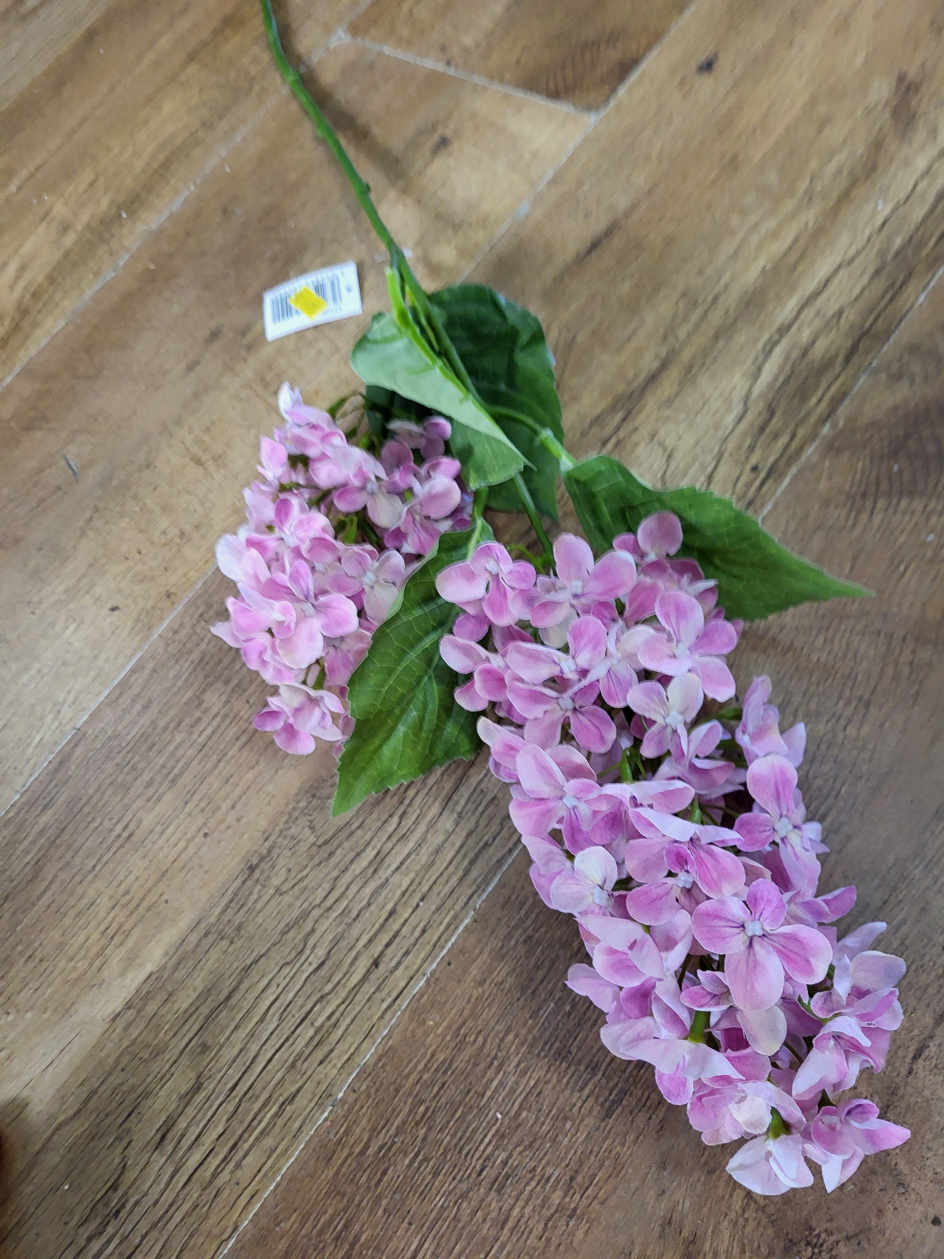 Long stem light pink paniculata hydrangea  image 1