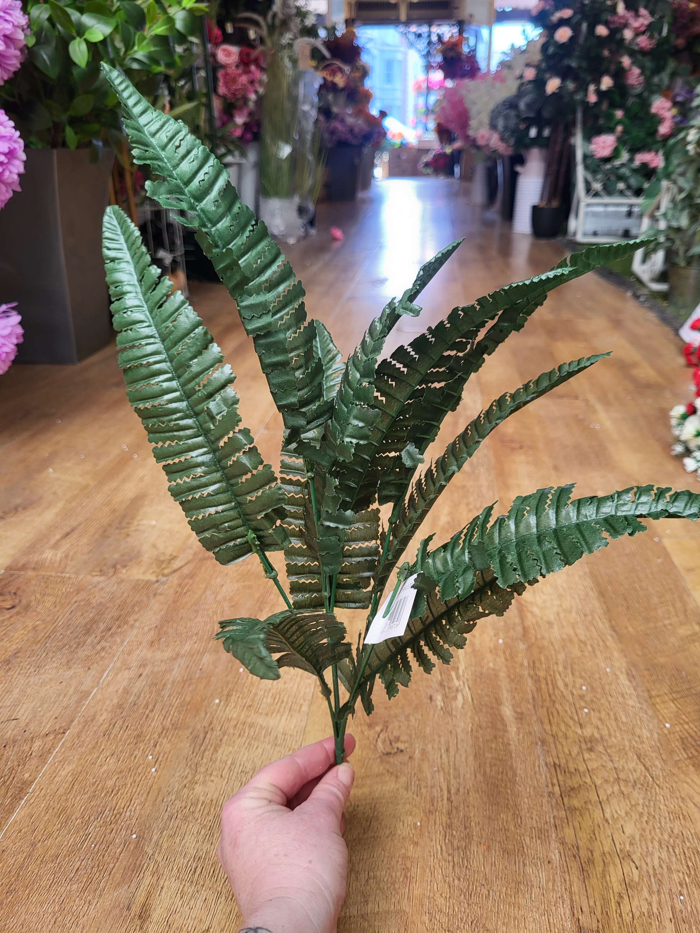 Dark fern bush image 2