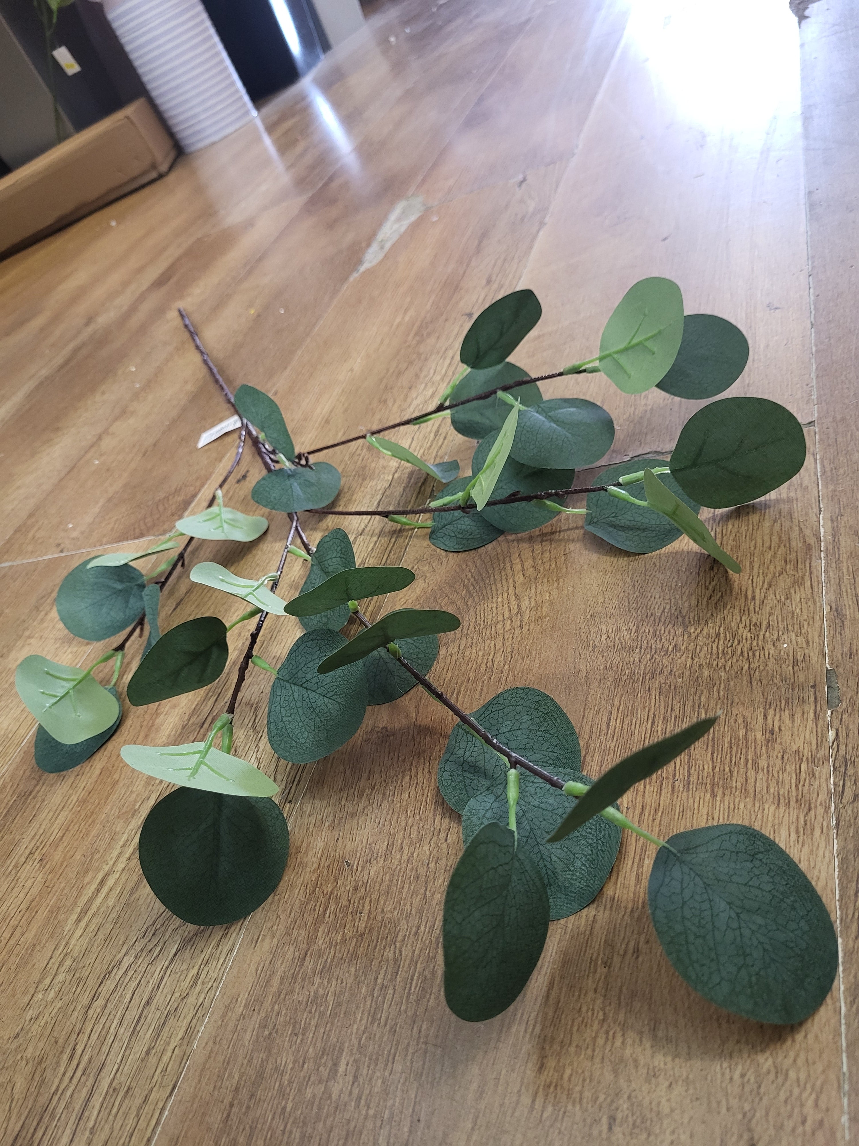 Long stem eucalyptus spray image 5