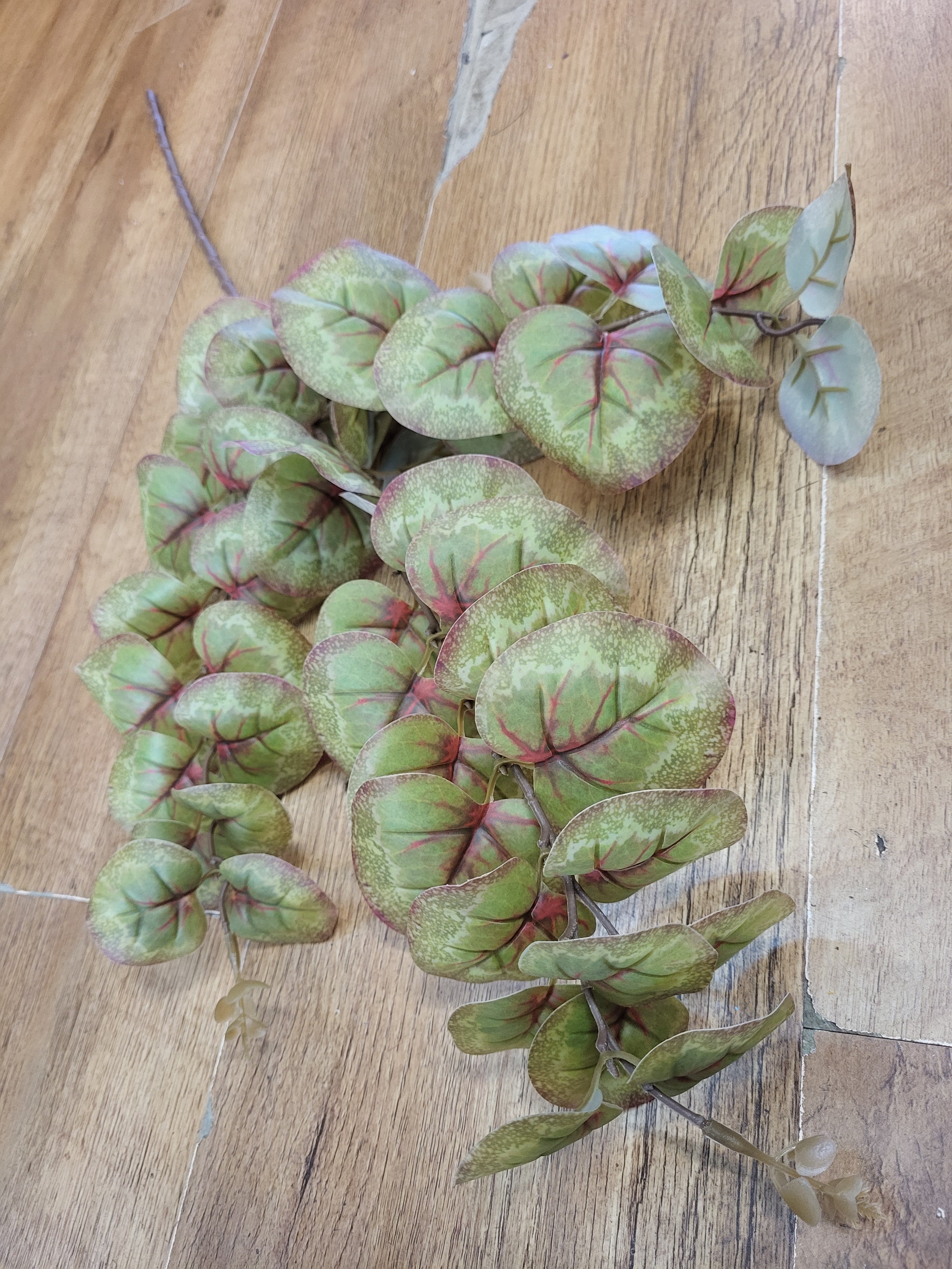 Long stem brown and green rounded eucalyptus spray  image 1