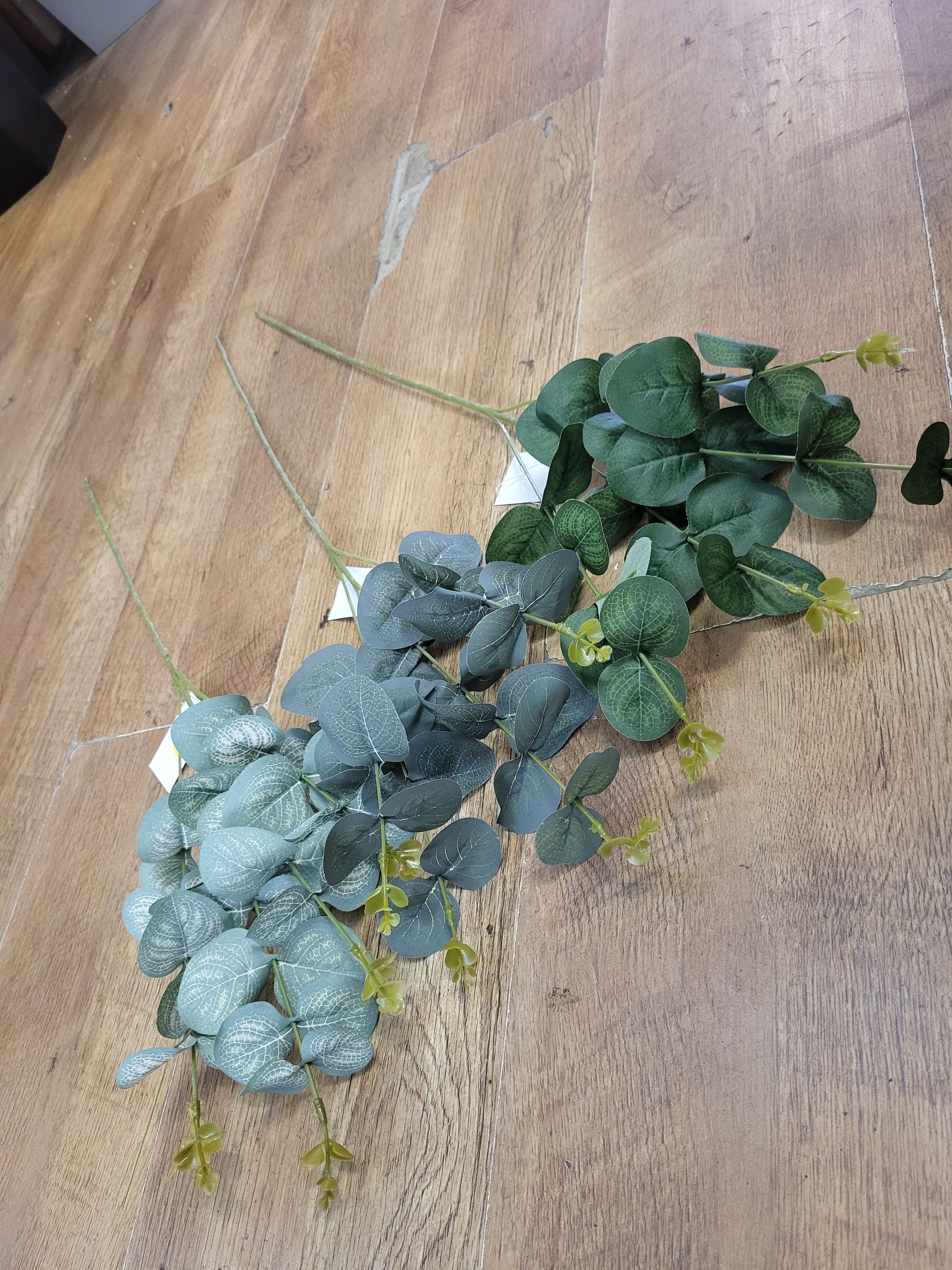 Long stem eucalyptus  - 3 shades available image 0