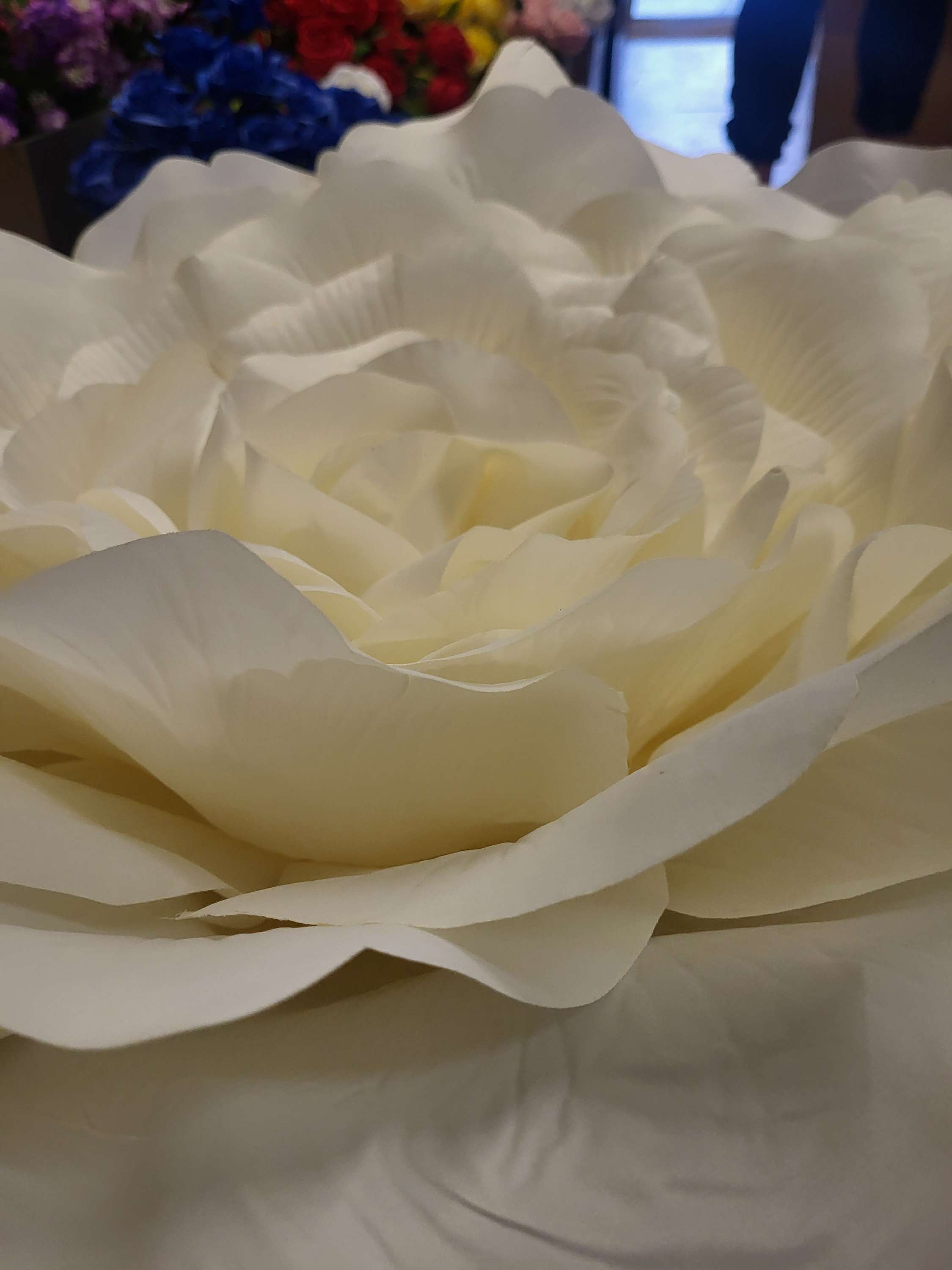Giant 70cm diameter ivory frilly rose head image 1