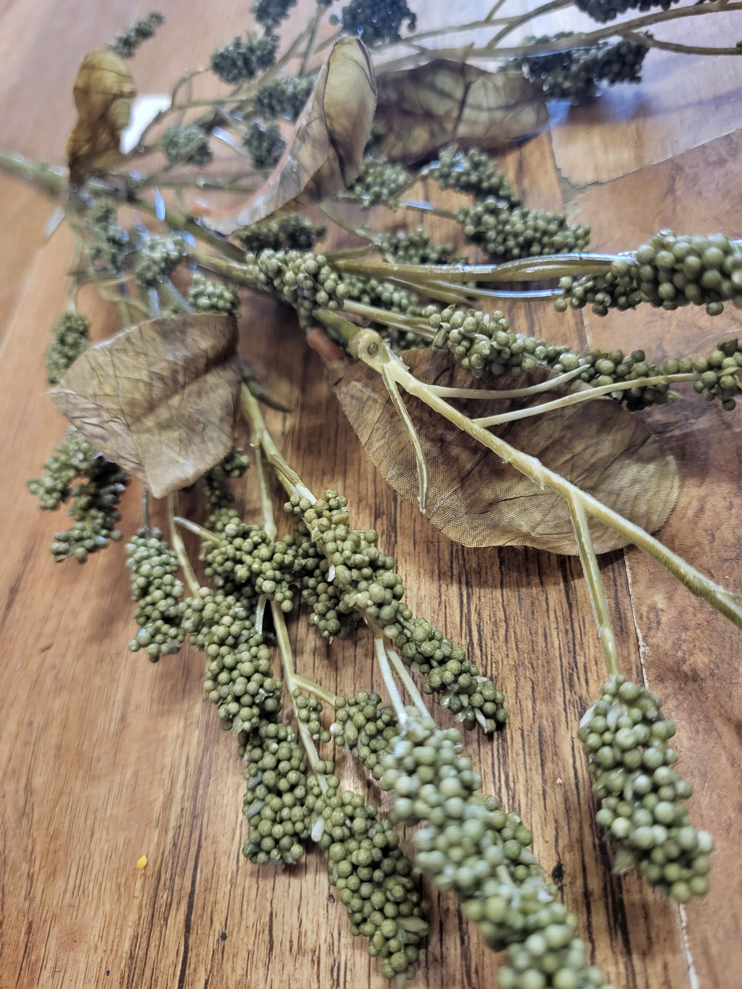 Dried inspired green grain sorghum spray image 3