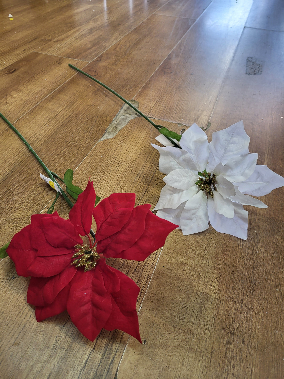 Long stem large headed poinsettia with glittered centre - 2 colours available image 1