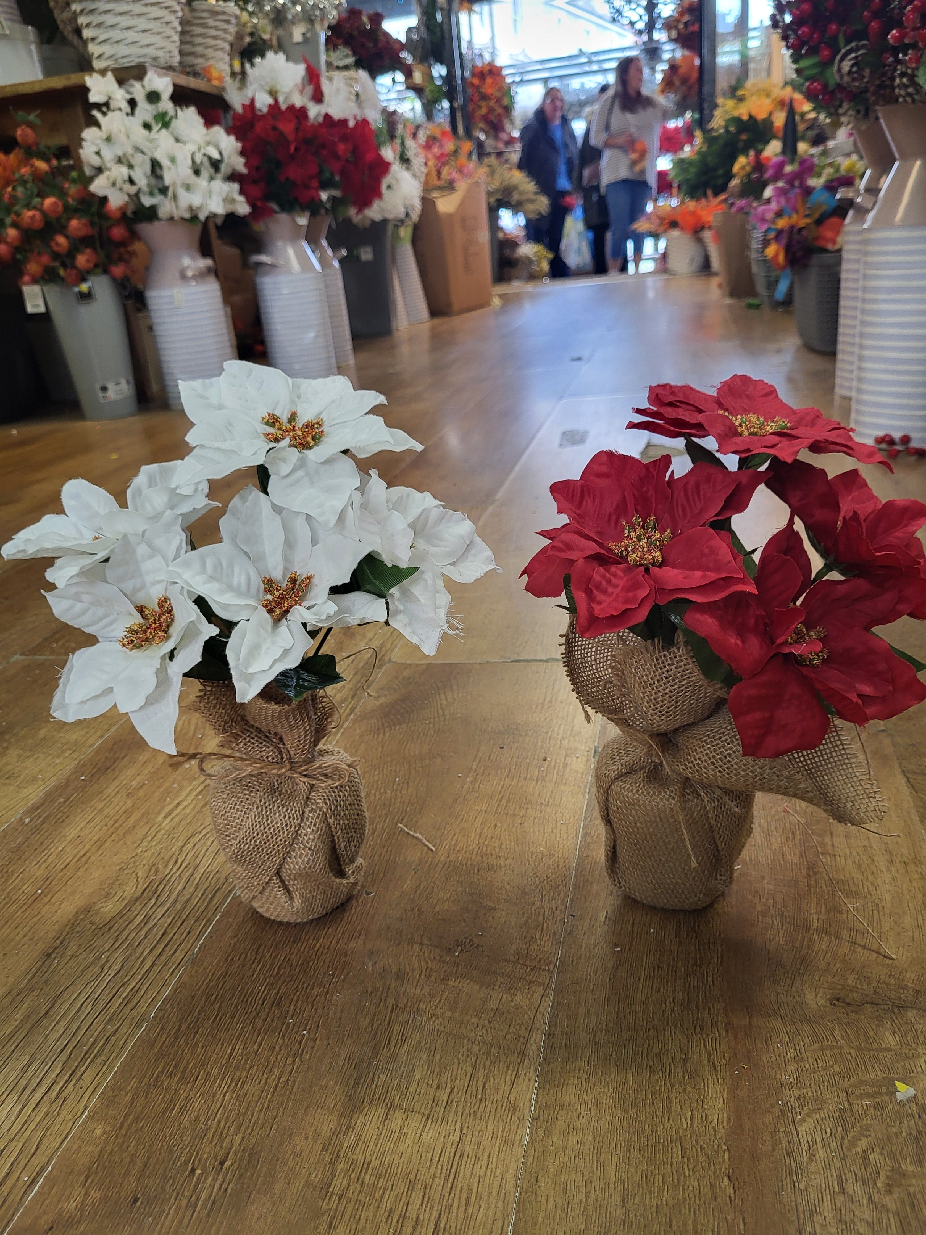 28cm poinsettia wrapped in burlap  - 2 colours available image 1