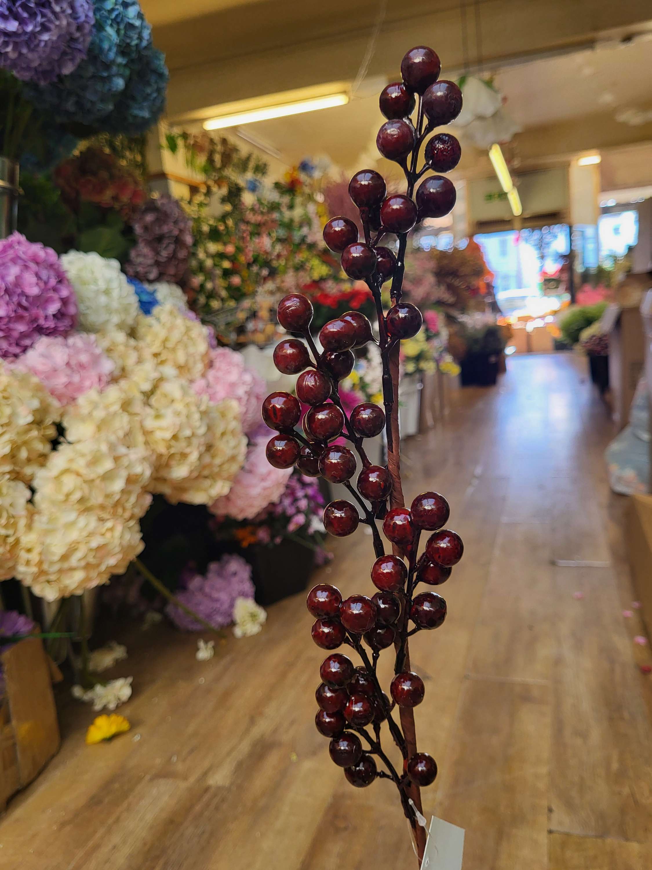 Darkest red toned berry stem  image 2