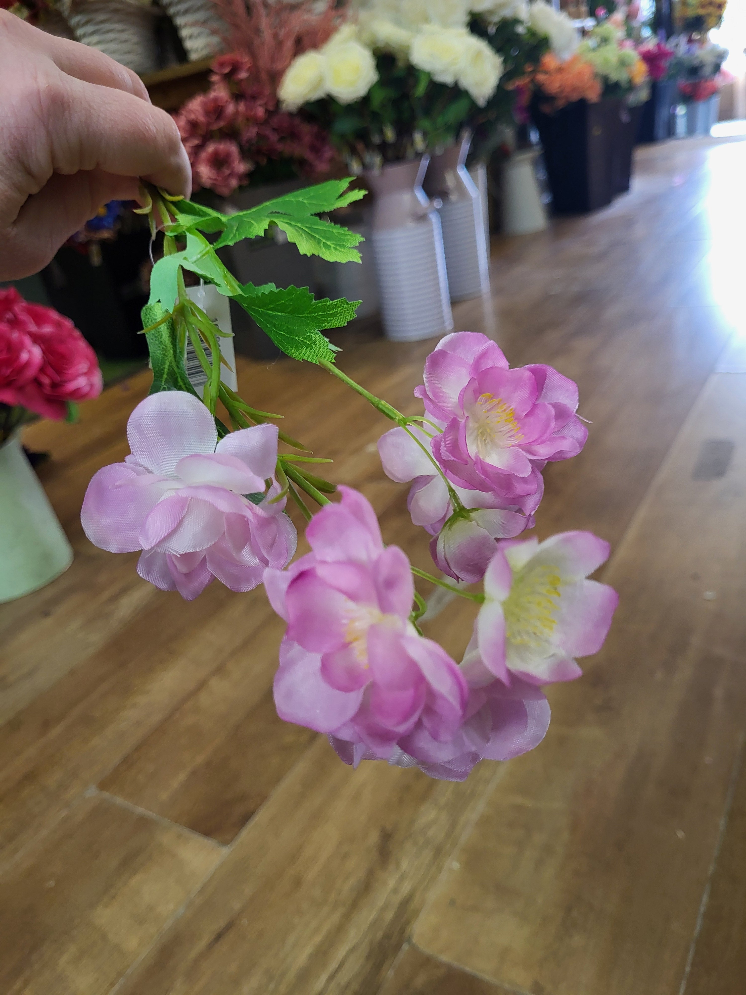 Short stem pink Delia  image 1