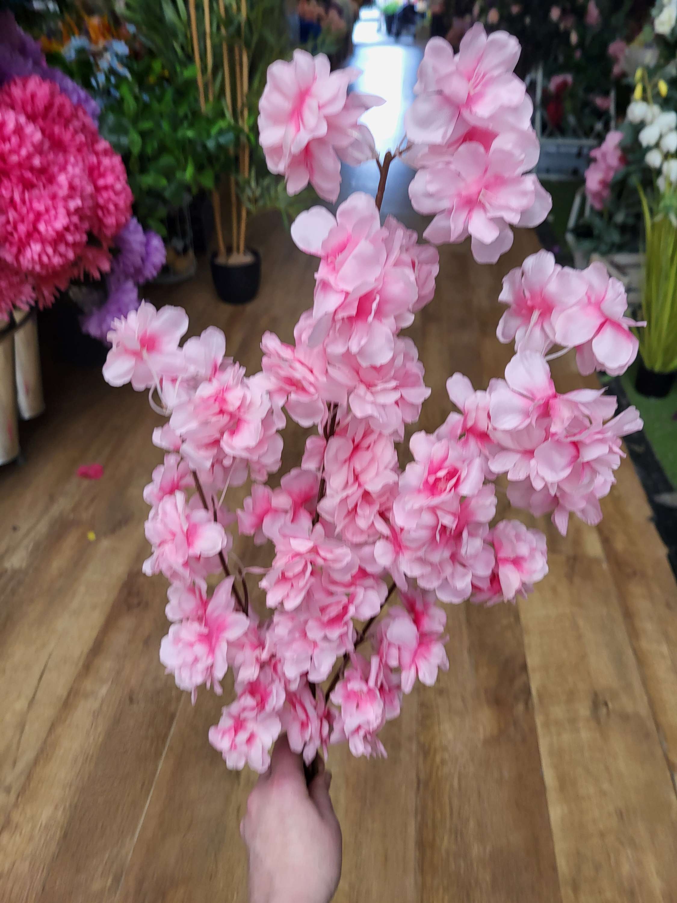 Long stem pink cherry blossom branch image 5