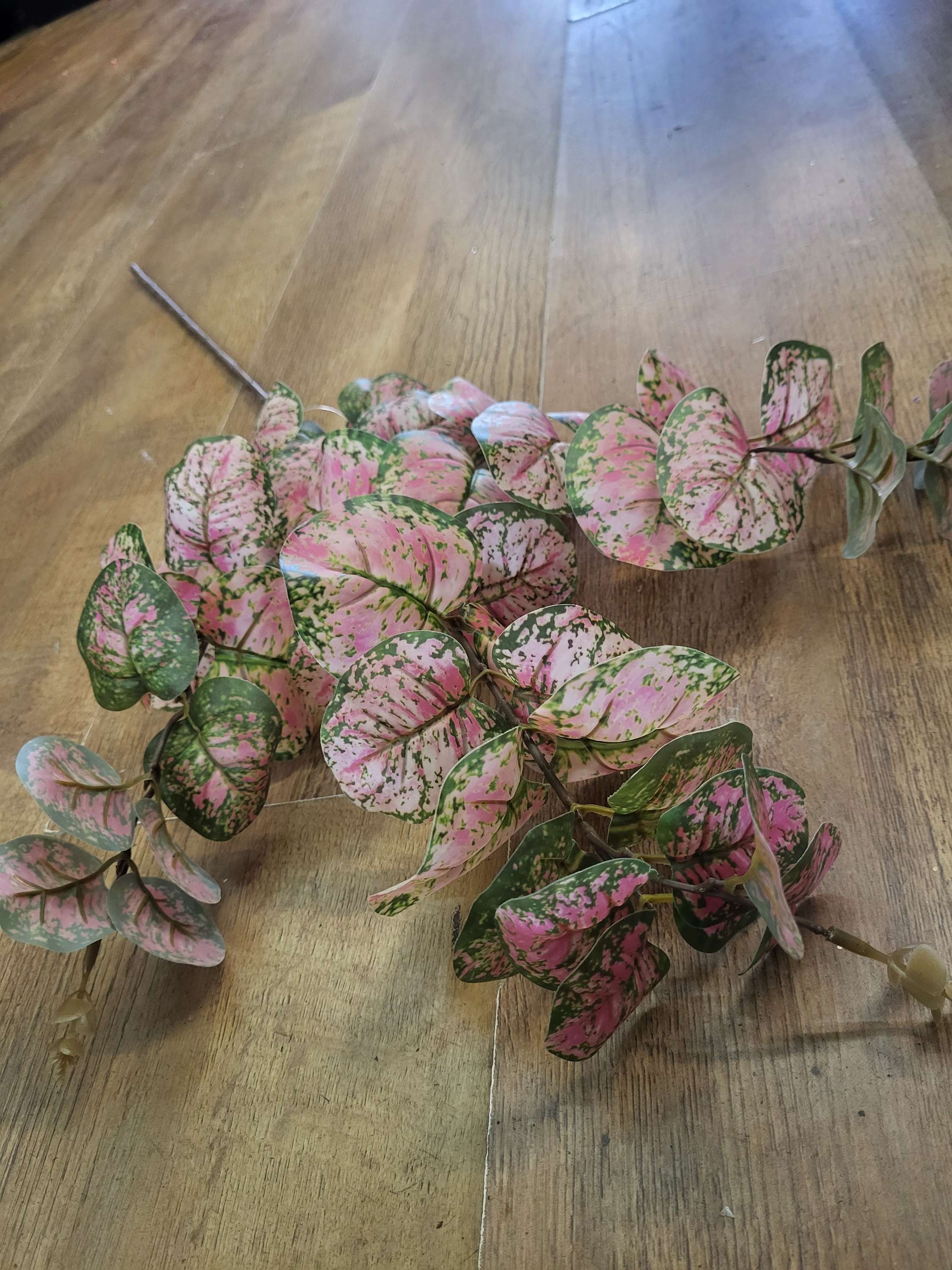 Long stem pink and green rounded eucalyptus spray image 1