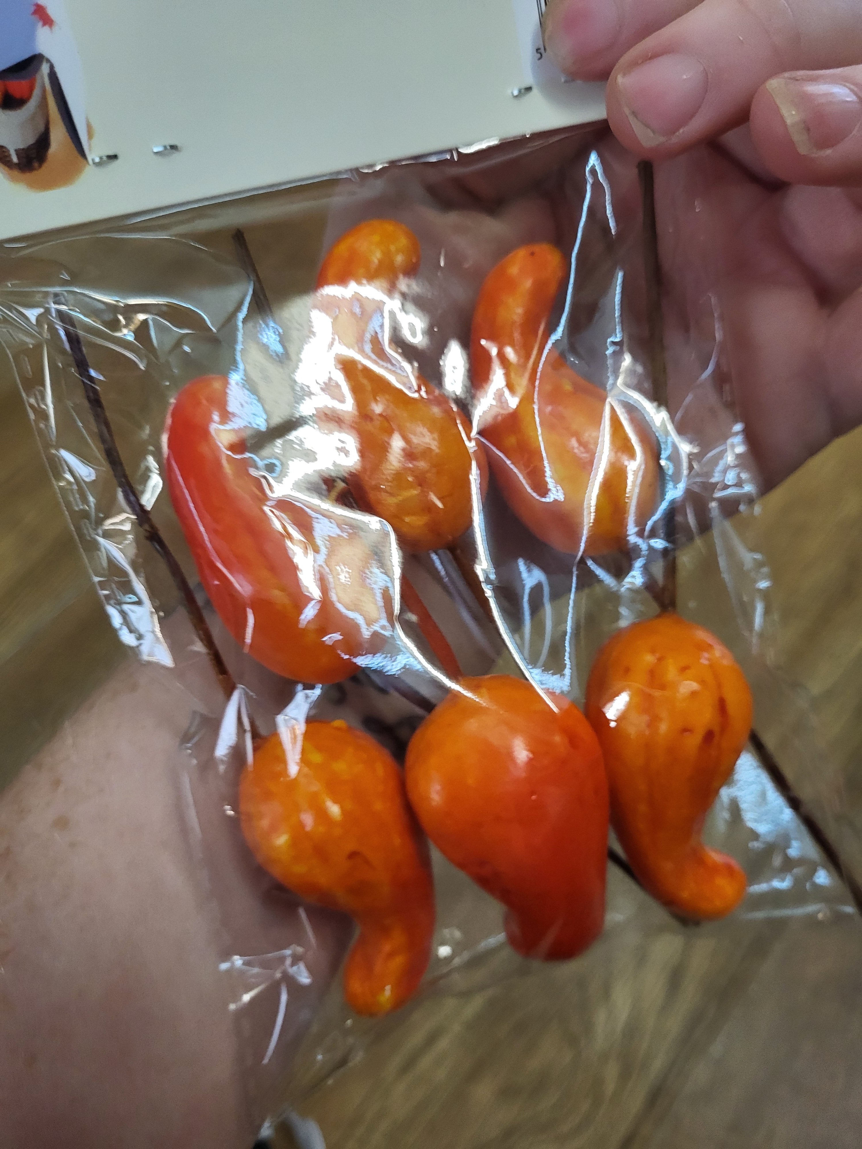 Pack of 6 gourd picks image 2