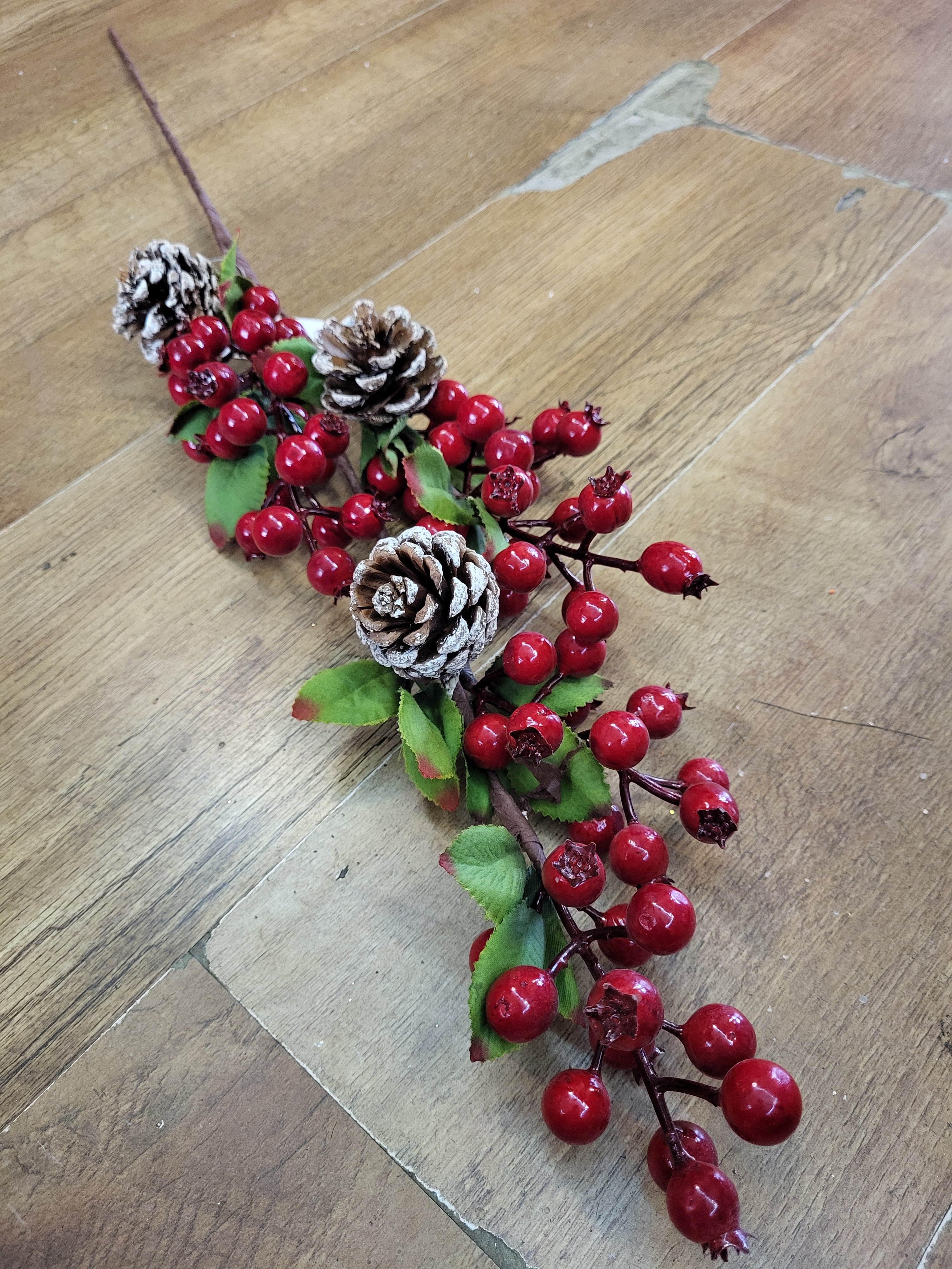 Long stem red berry and cones branch image 0
