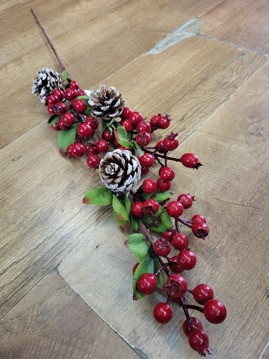 Long stem red berry and cones branch image 0