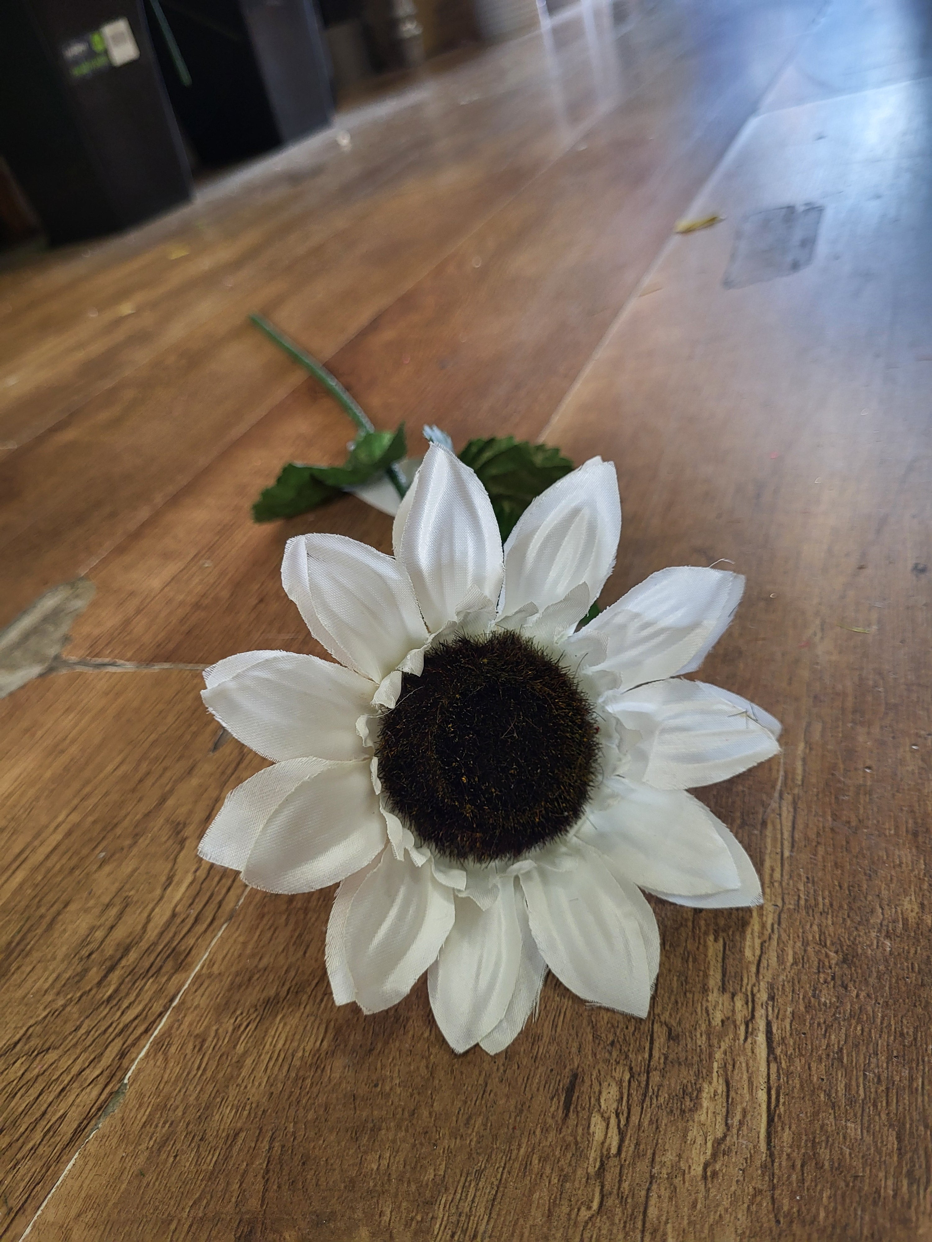 Clearance!! Long stem white sunflower  image 1