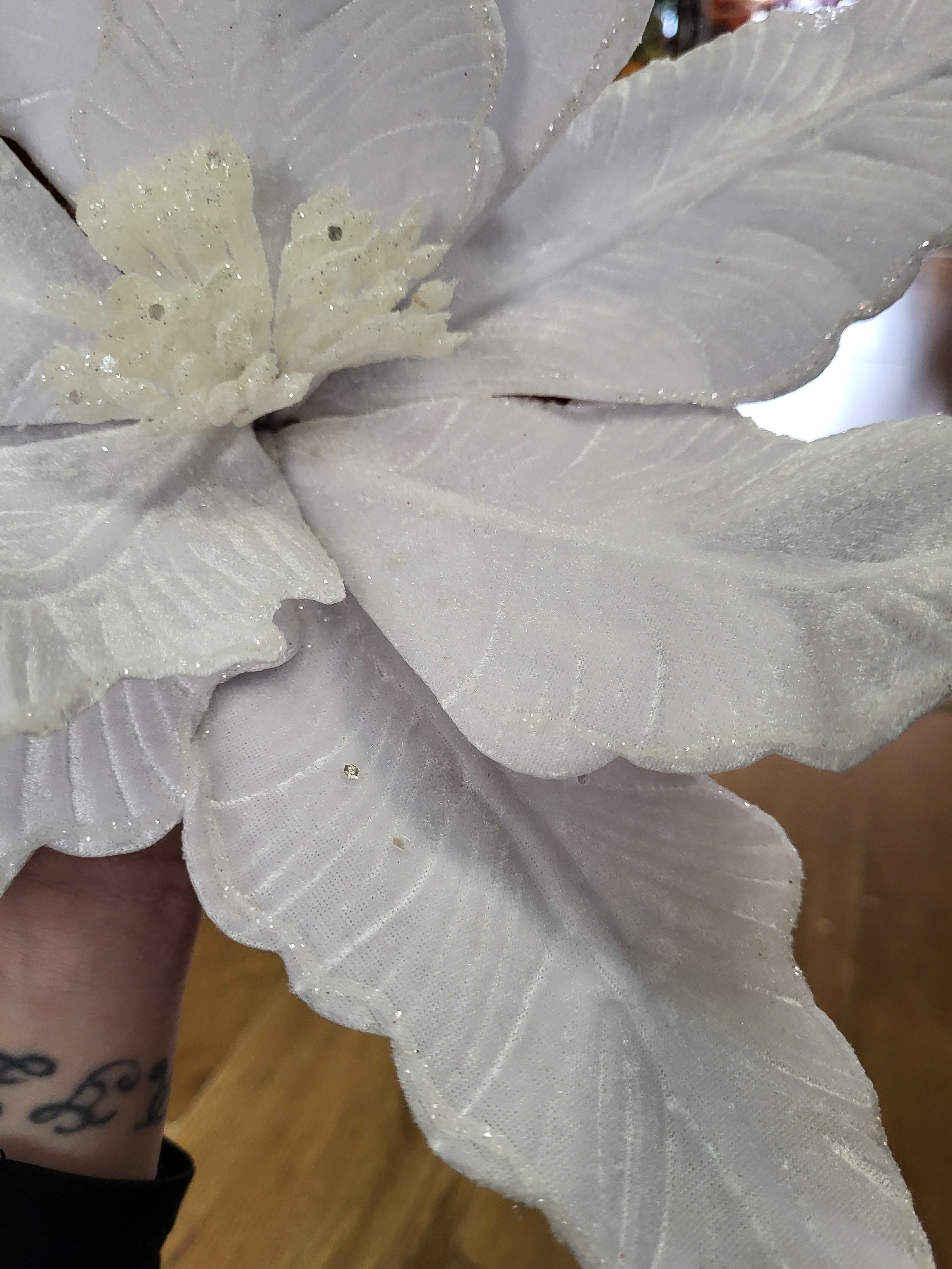 Luxury 50cm white velvet with glittered edge giant single poinsettia image 1