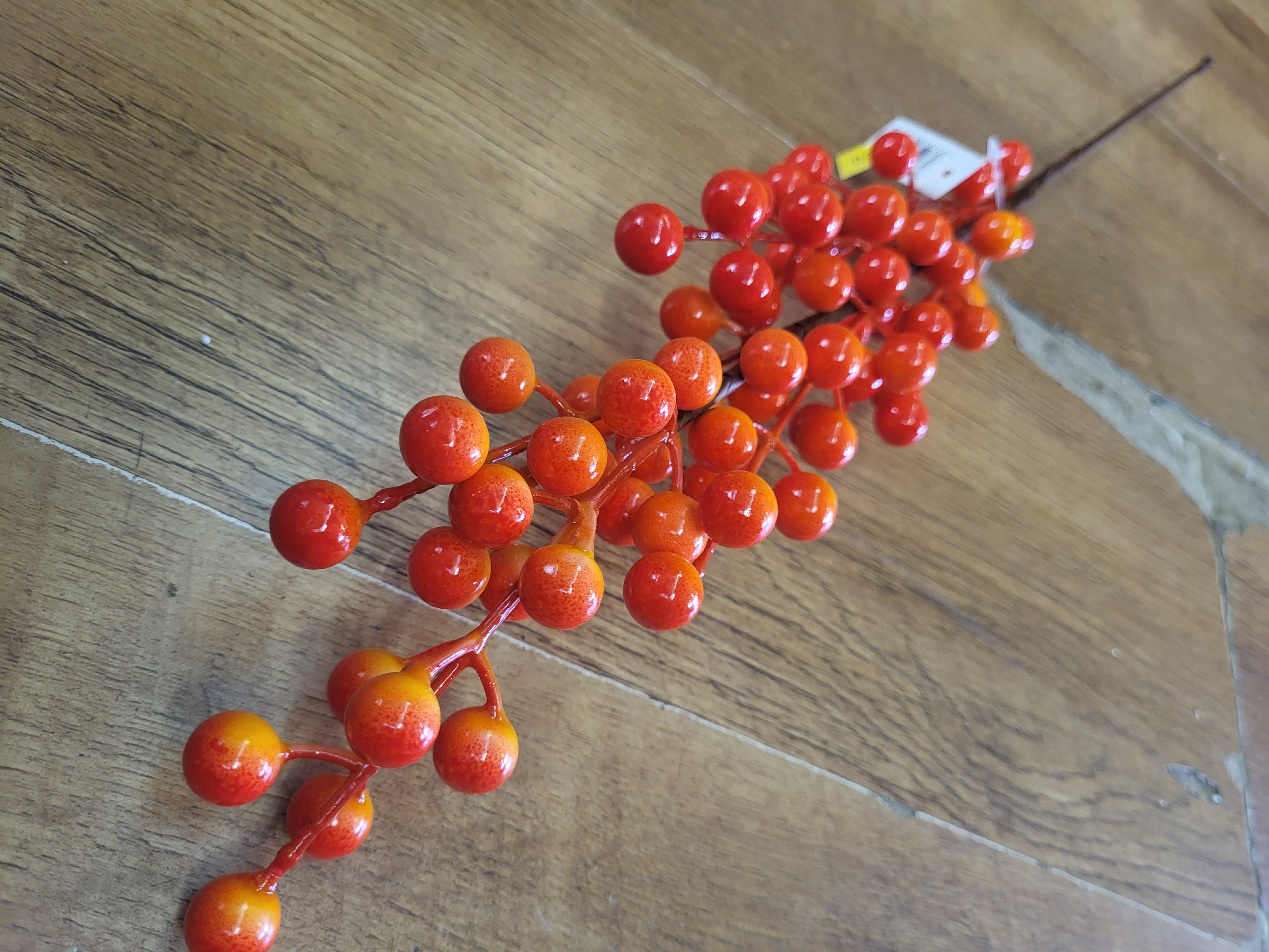 Long stem Orange berry stem image 1
